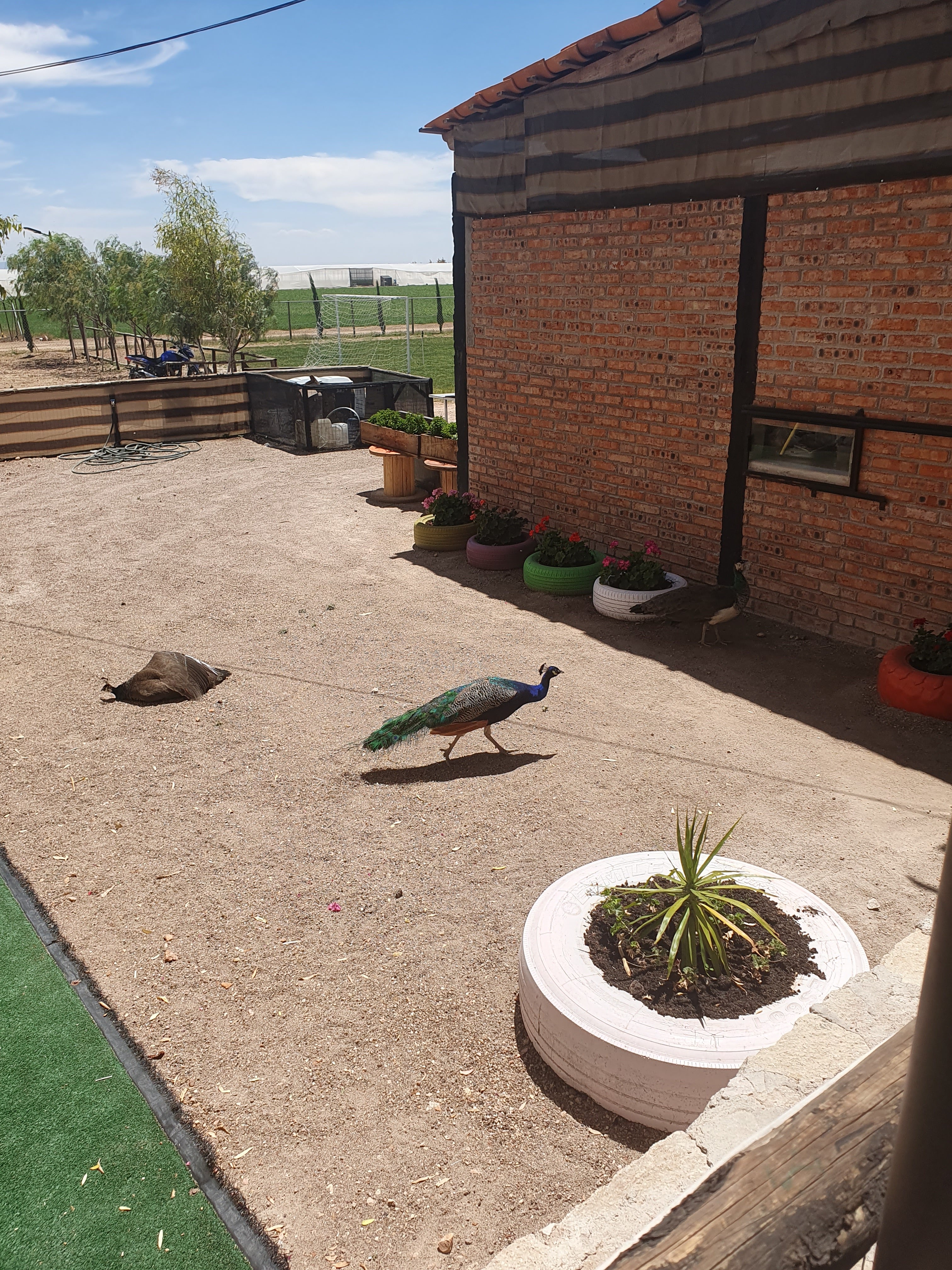 Rancho Santa Fe image 8