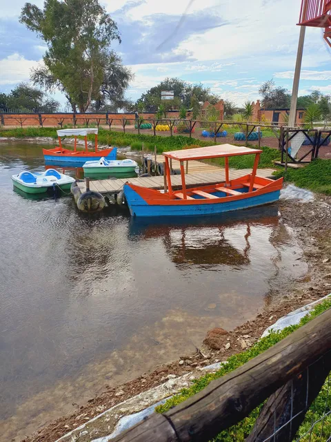 Mizquitl image 6