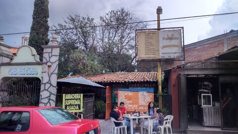 Parripollo image 3