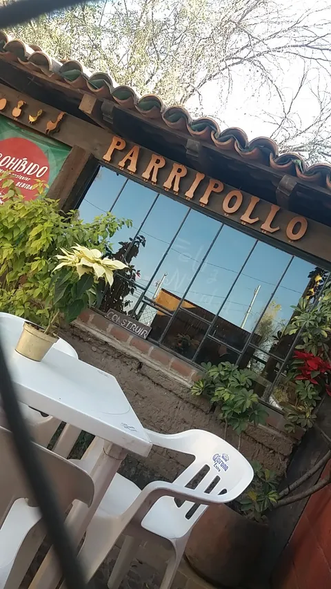 Parripollo image 6