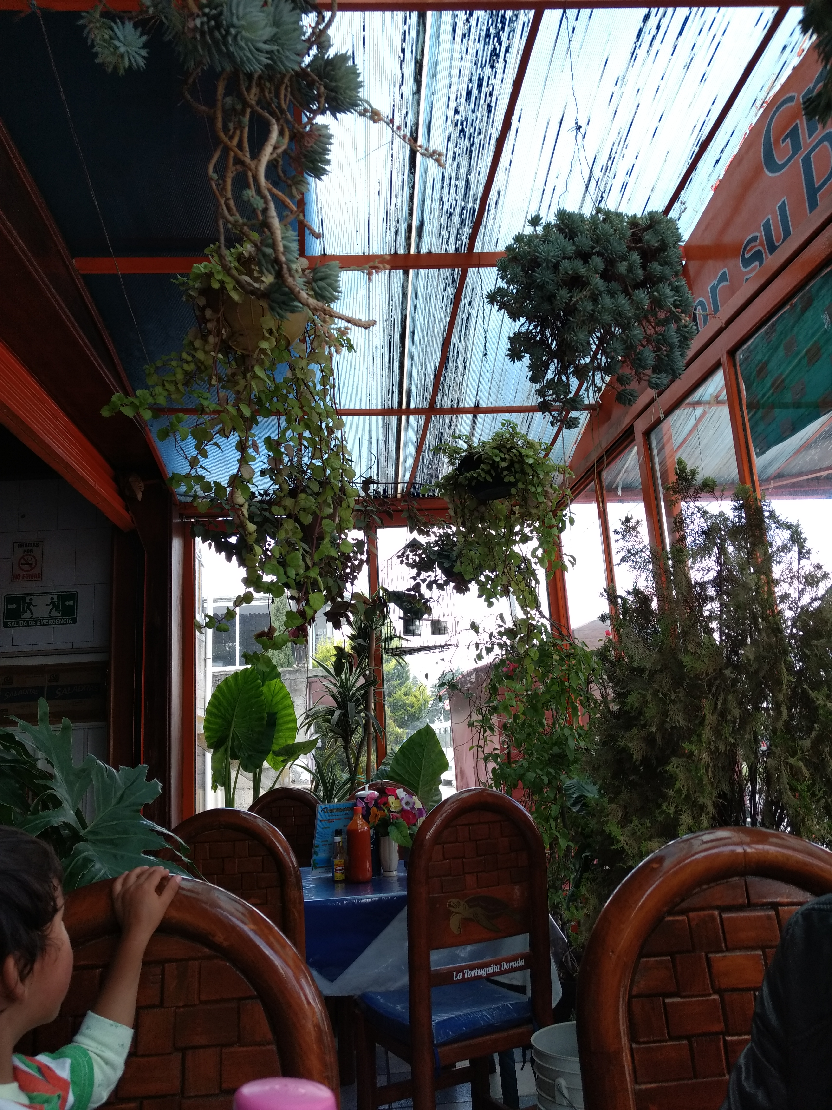 La Tortuguita Dorada image 1