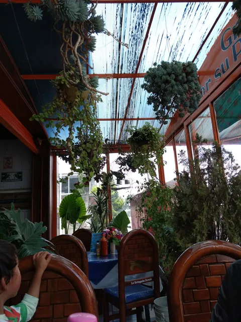 La Tortuguita Dorada image 1