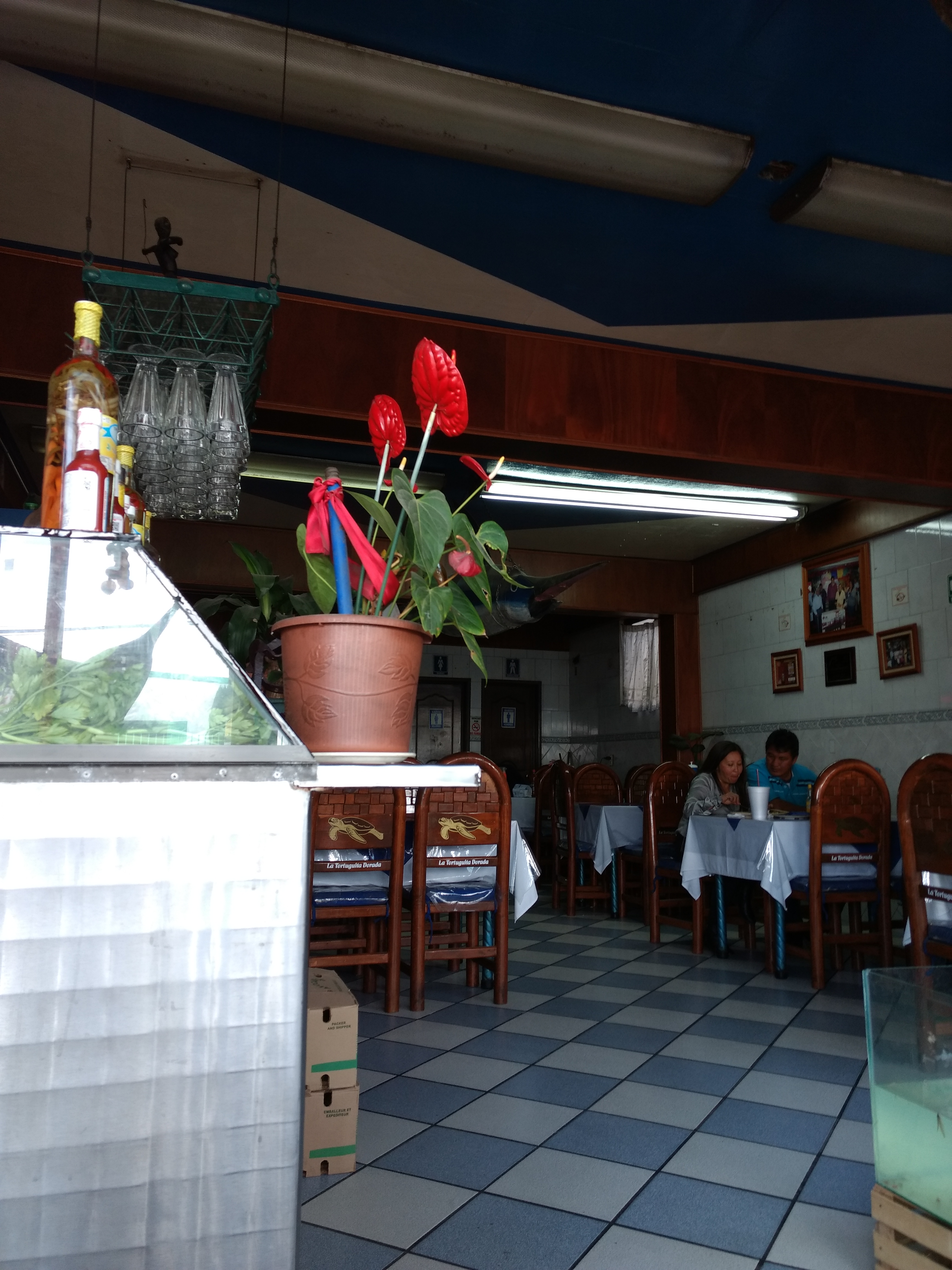 La Tortuguita Dorada image 4