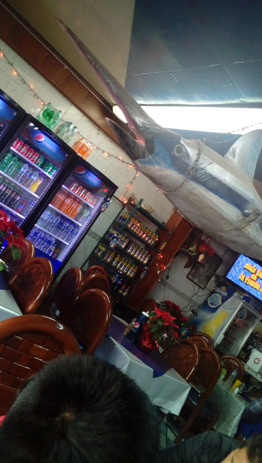 La Tortuguita Dorada image 9