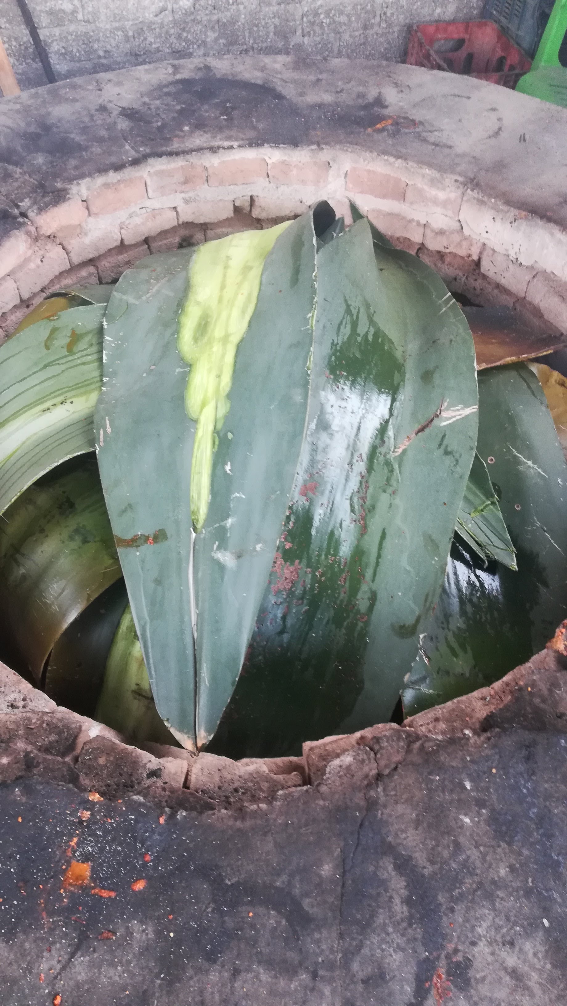 Barbacoa Juanito image 4