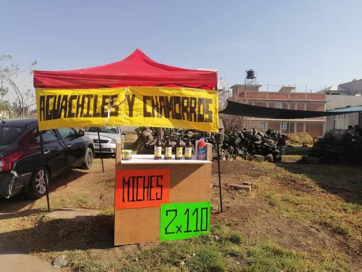 Esteoeste image 4
