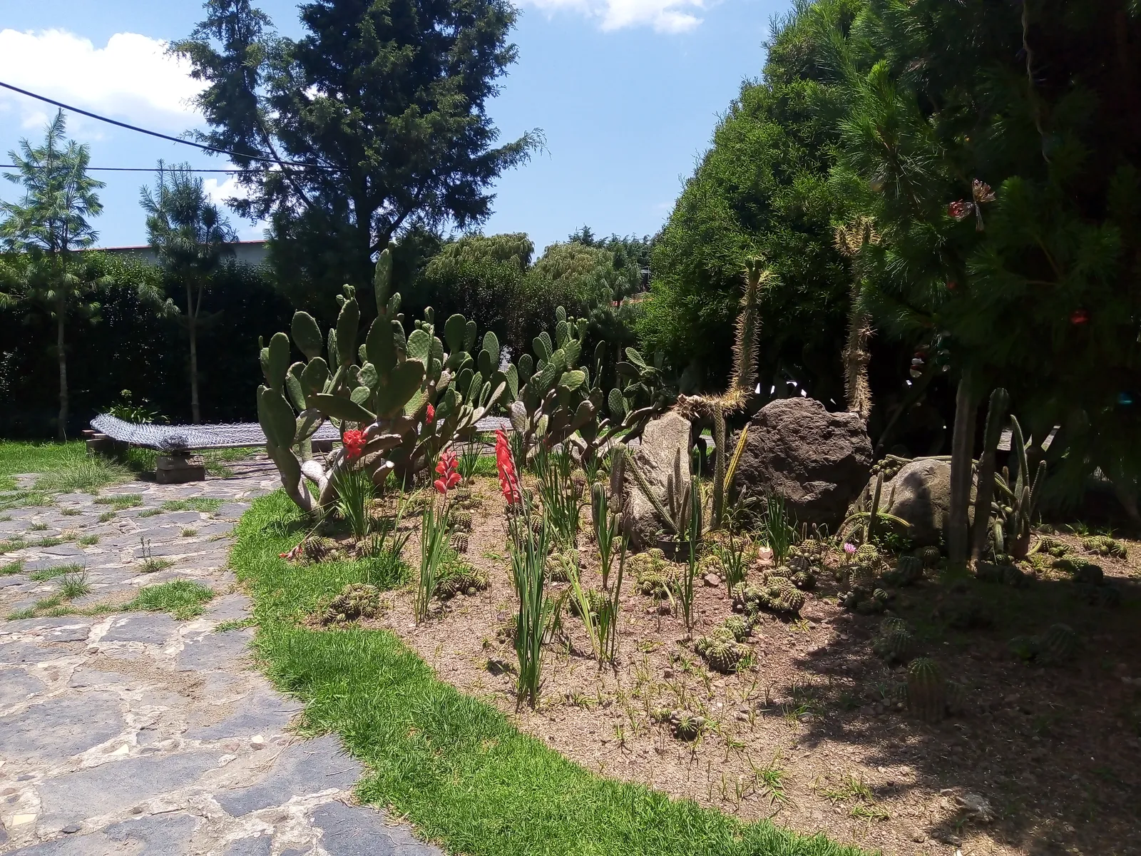 Finca la Colorada image 10
