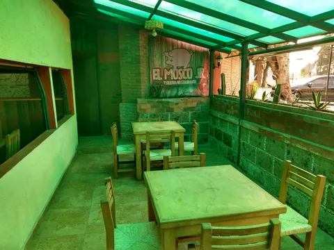 EL MOSCO JR image 4
