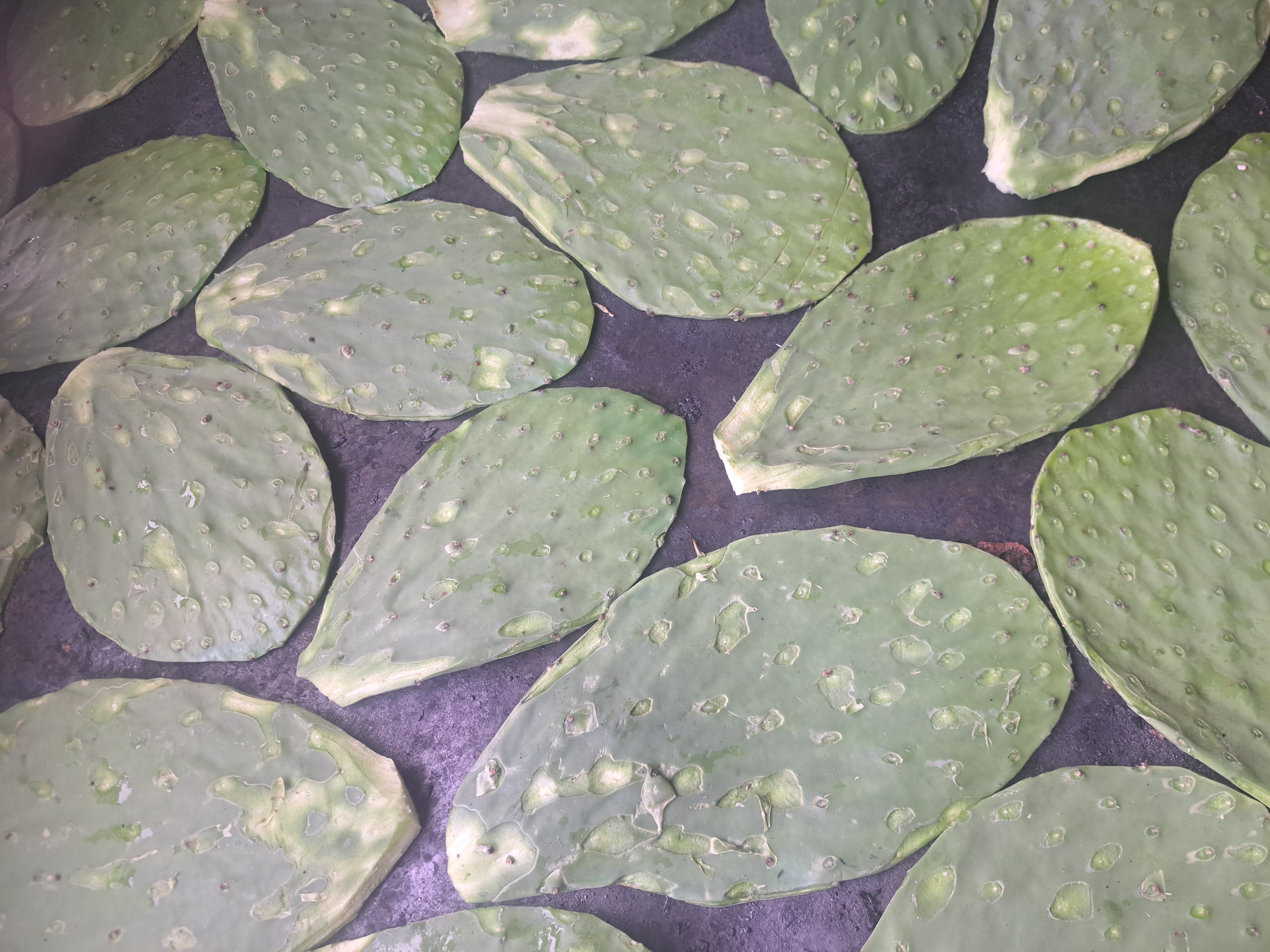 El asador de paquita image 5