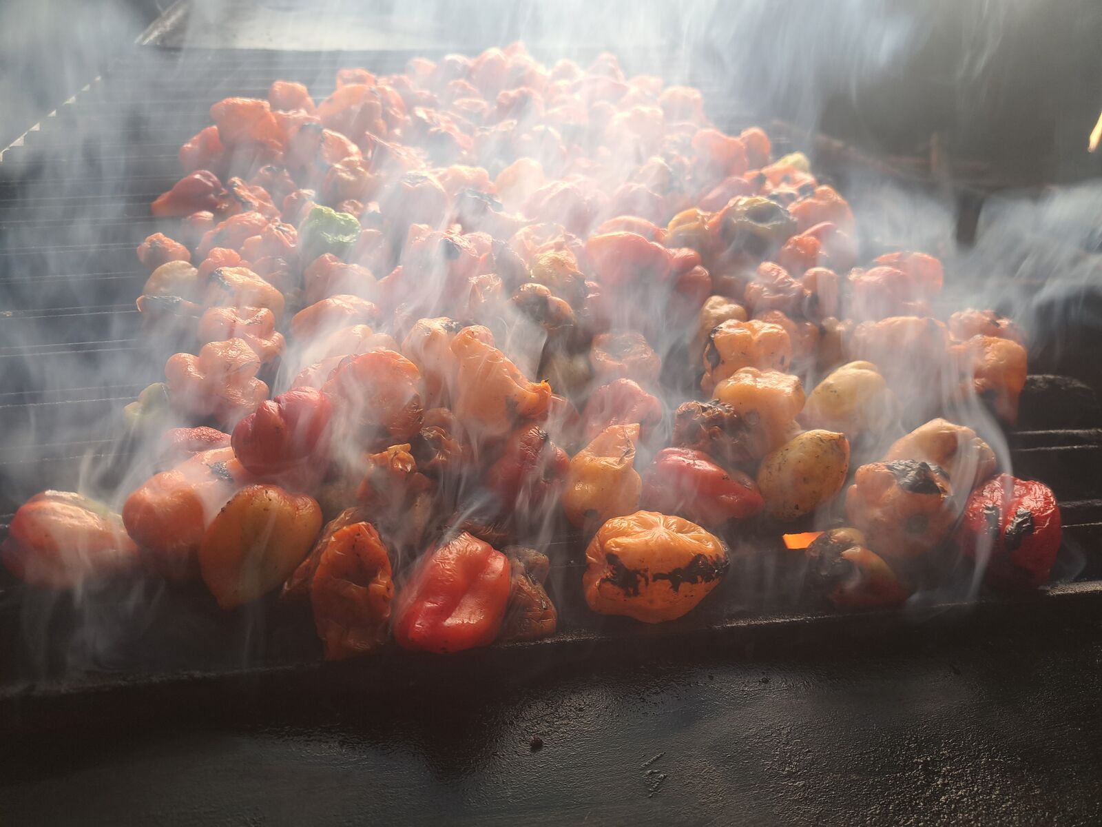El asador de paquita image 6