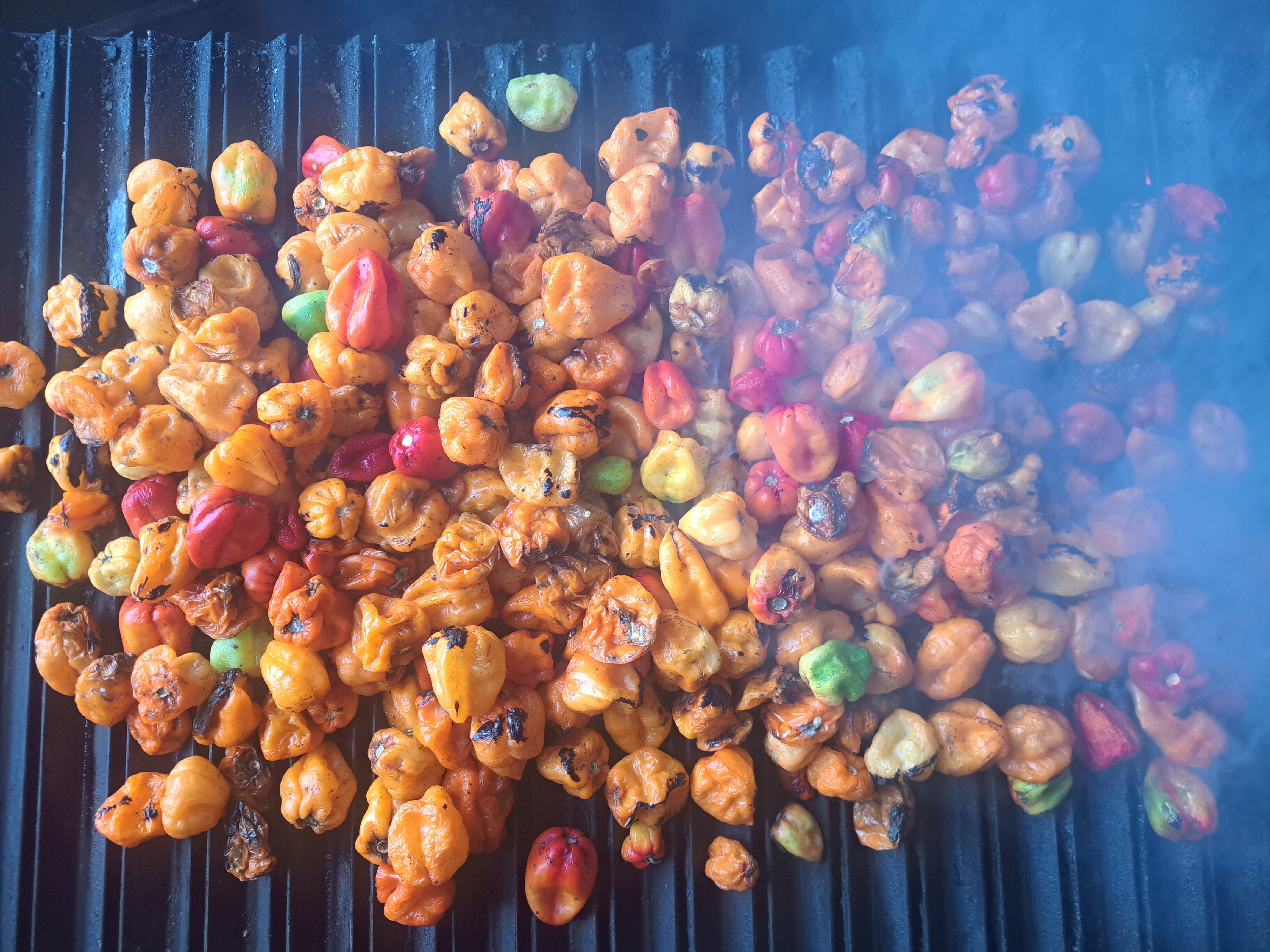 El asador de paquita image 9