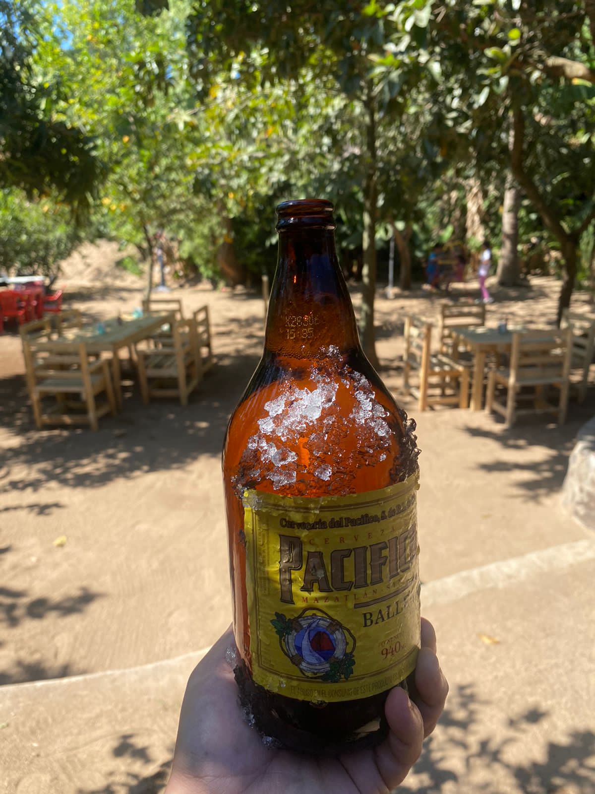 La Huerta de Don Oscar image 5