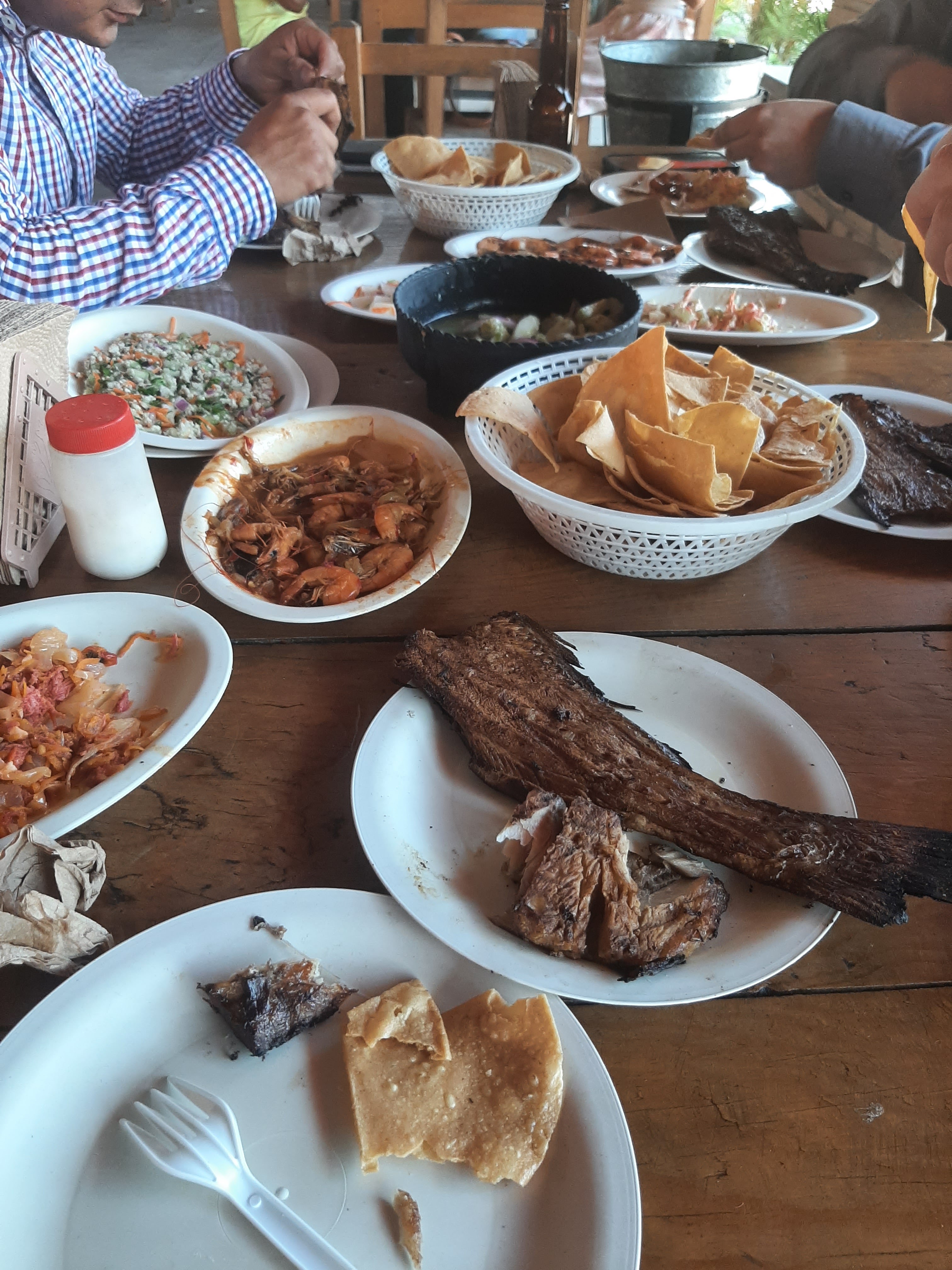 Centro botanero El manglar image 2