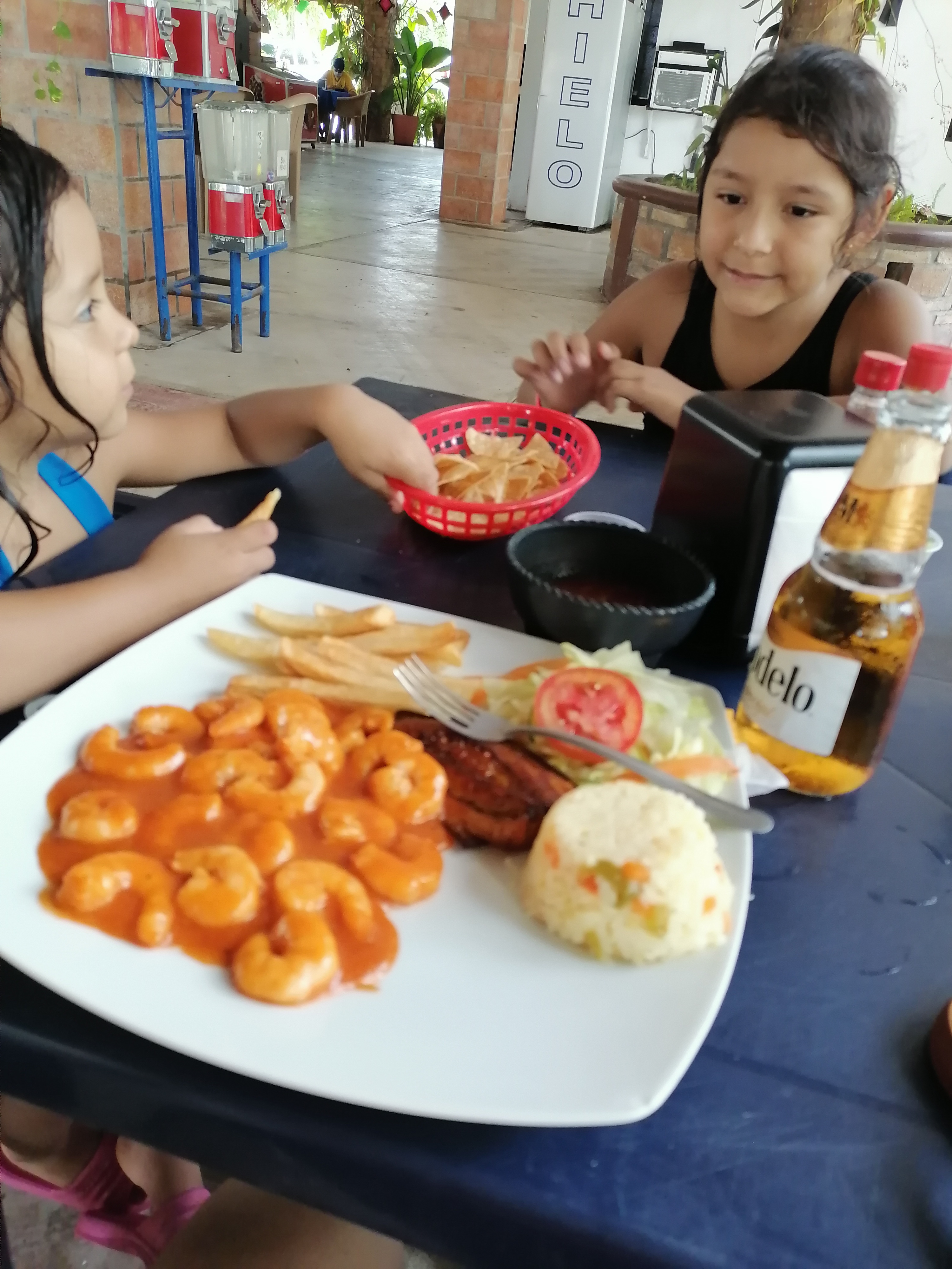 Centro botanero El manglar image 10