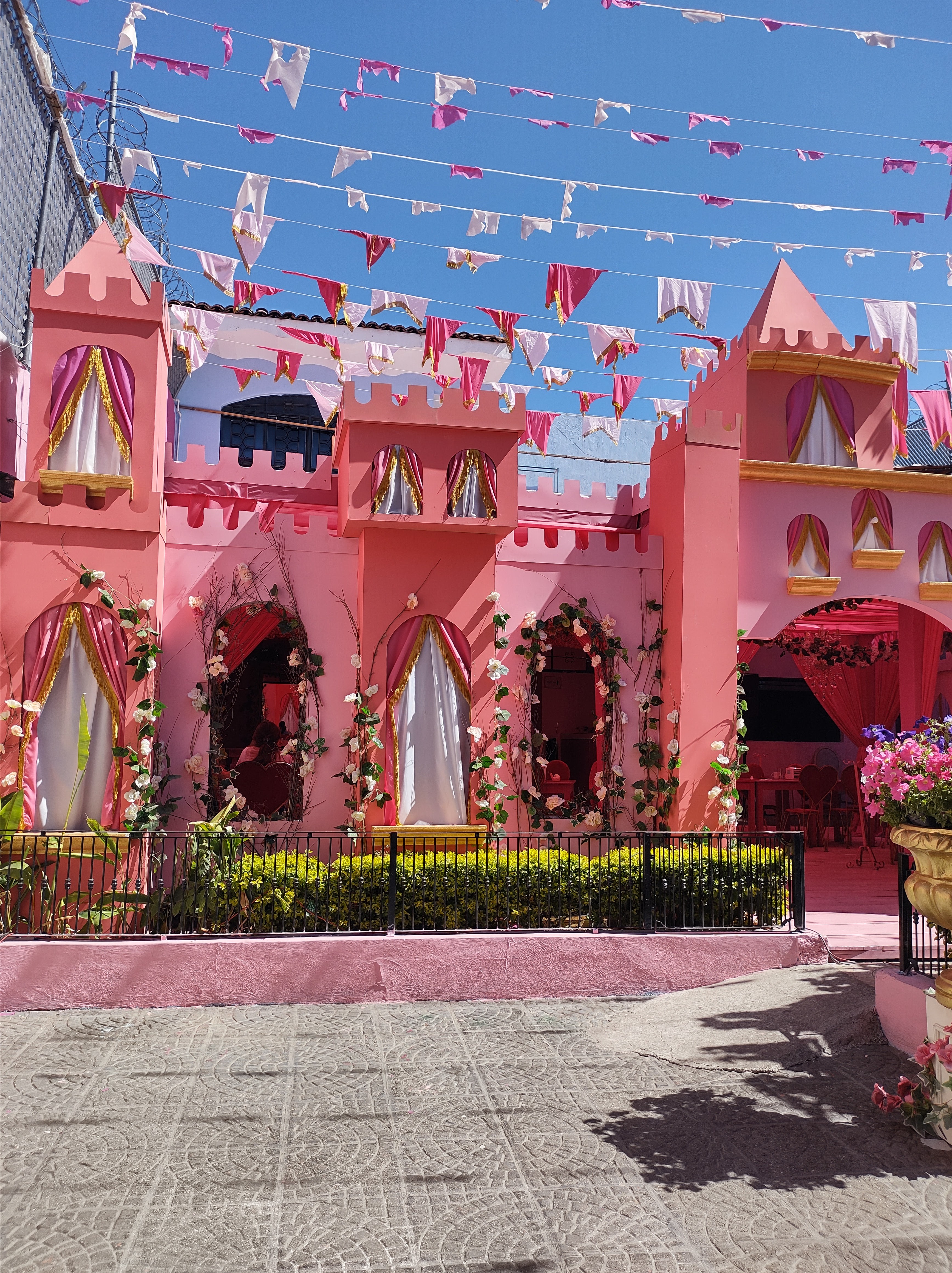 Mamá Lupita image 5