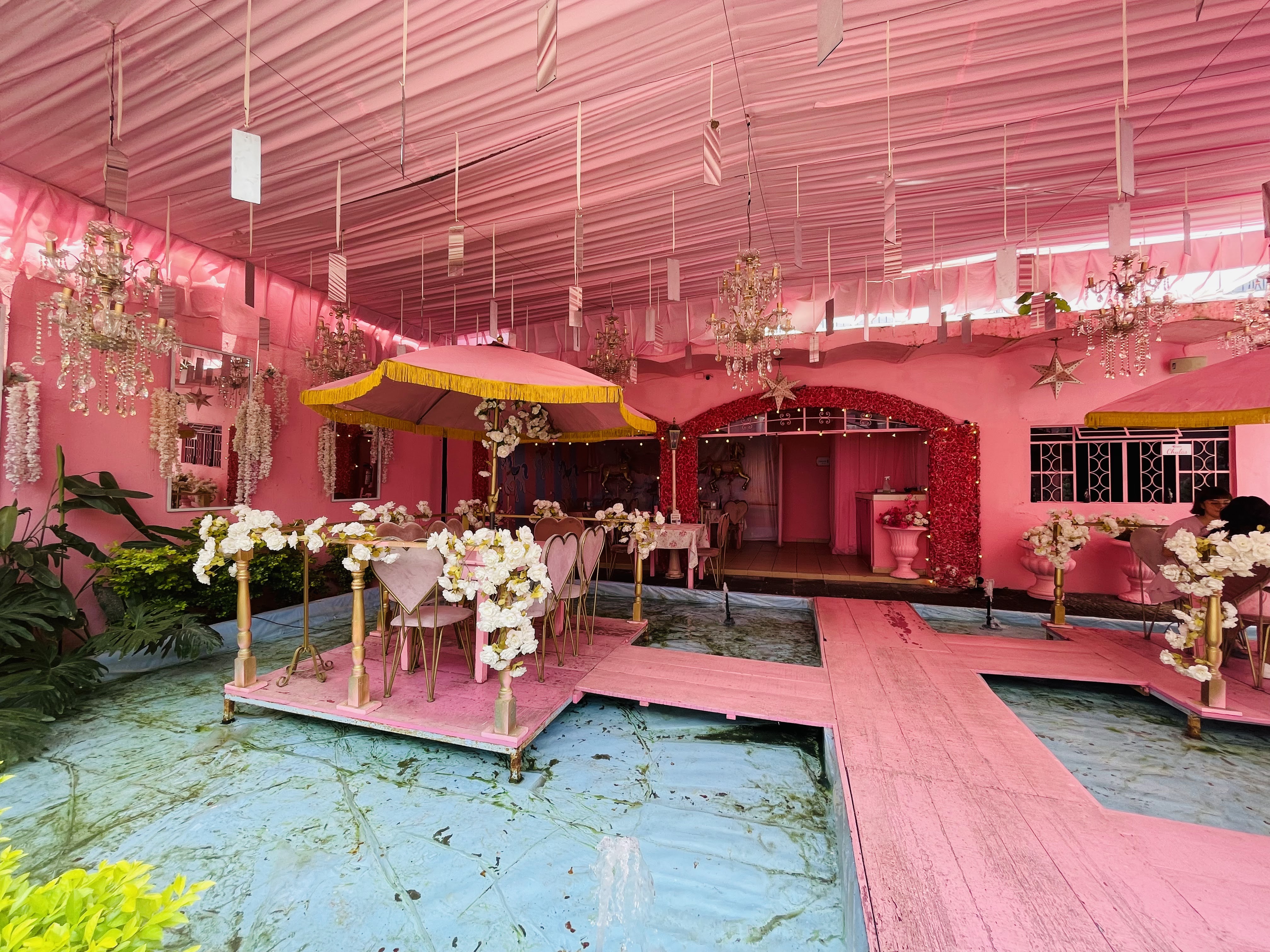 Mamá Lupita image 10