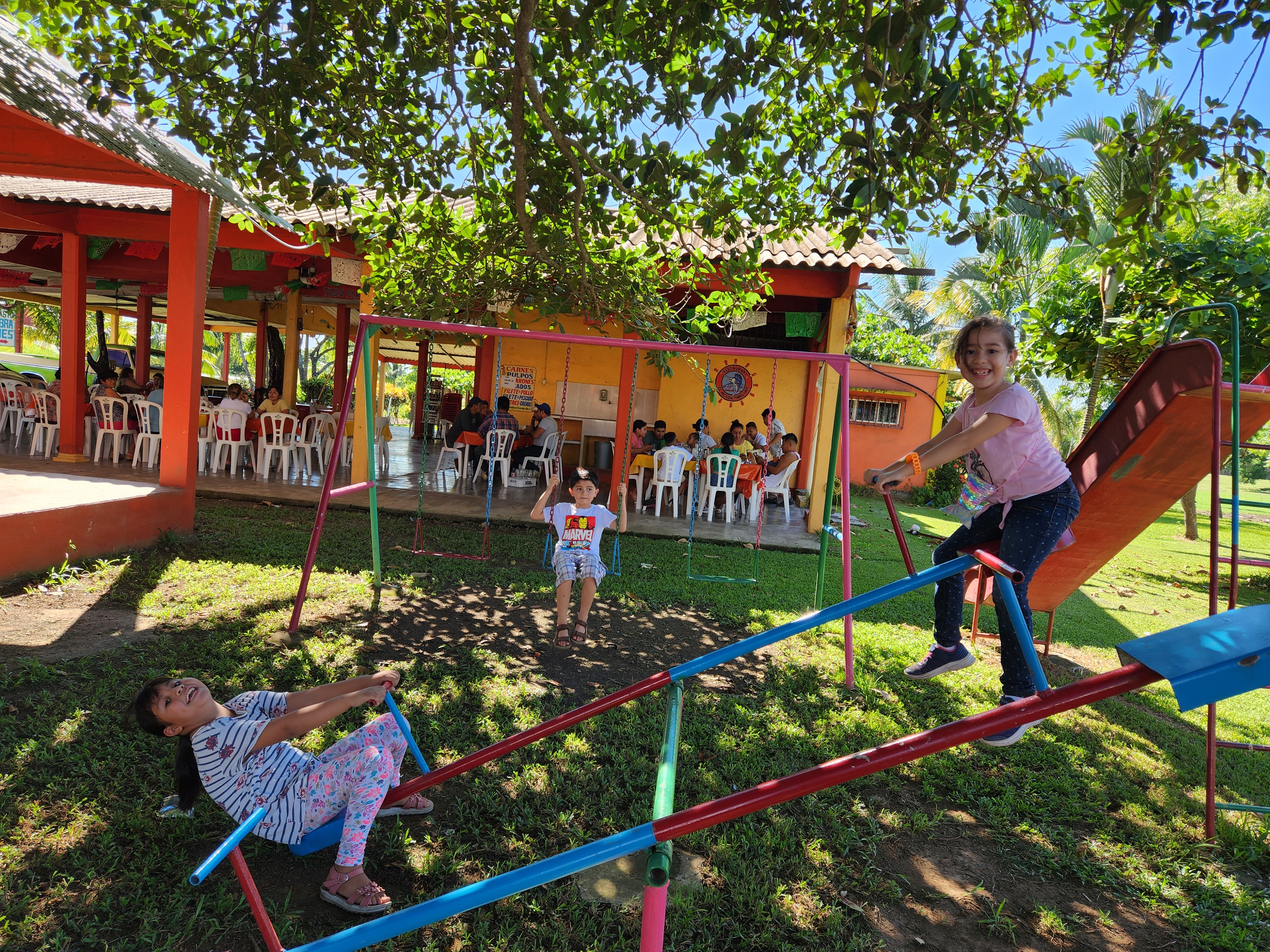 The Meson Family image 3