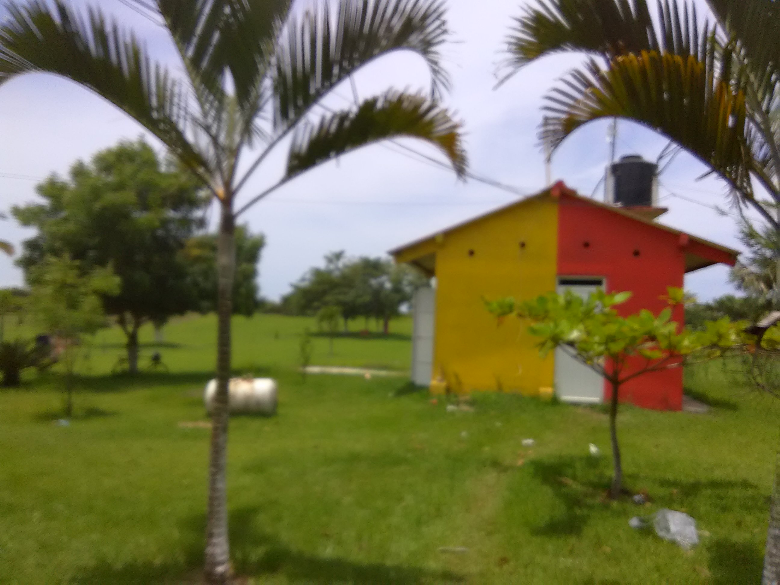 The Meson Family image 5