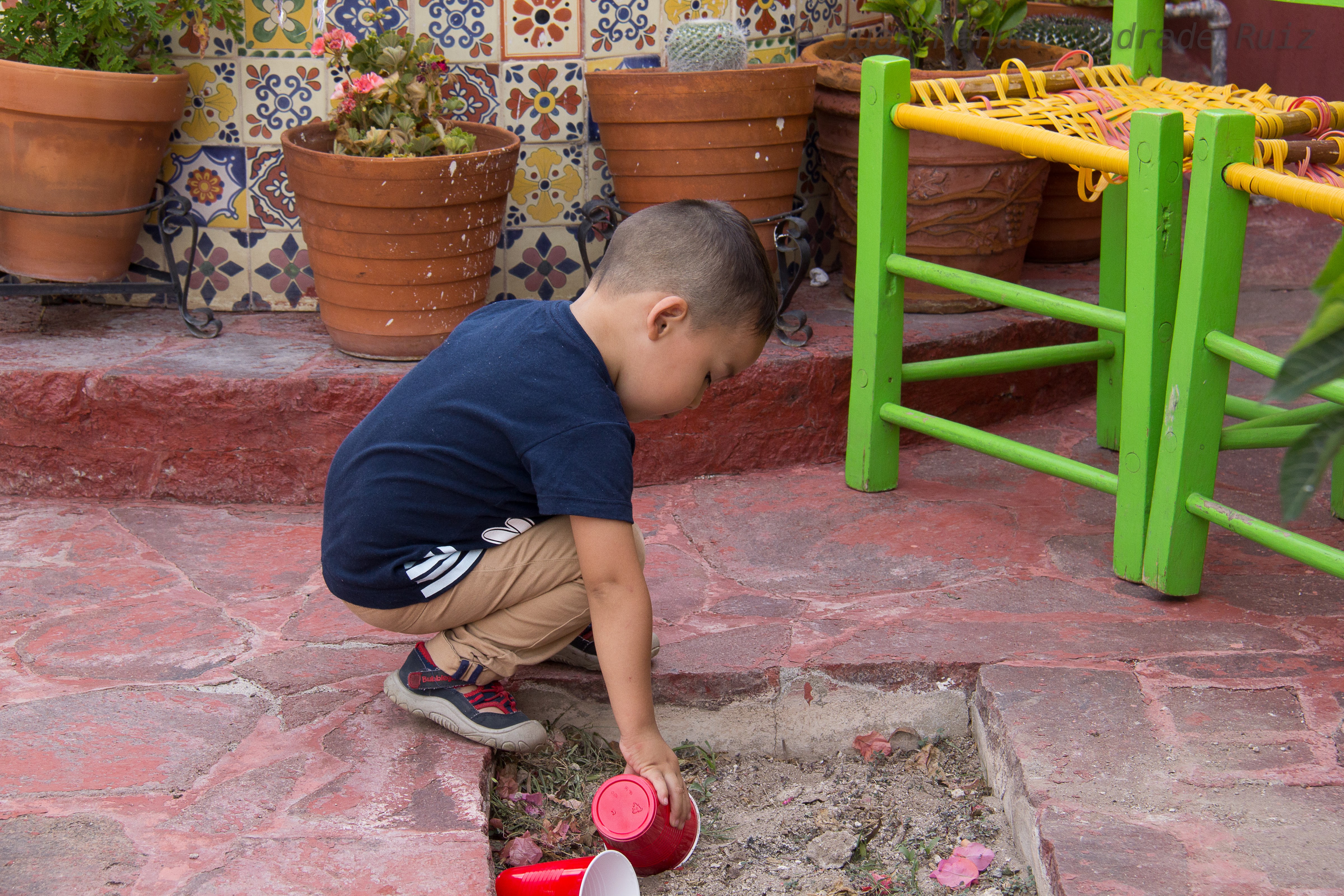Huisache Ojocaliente Slp image 3
