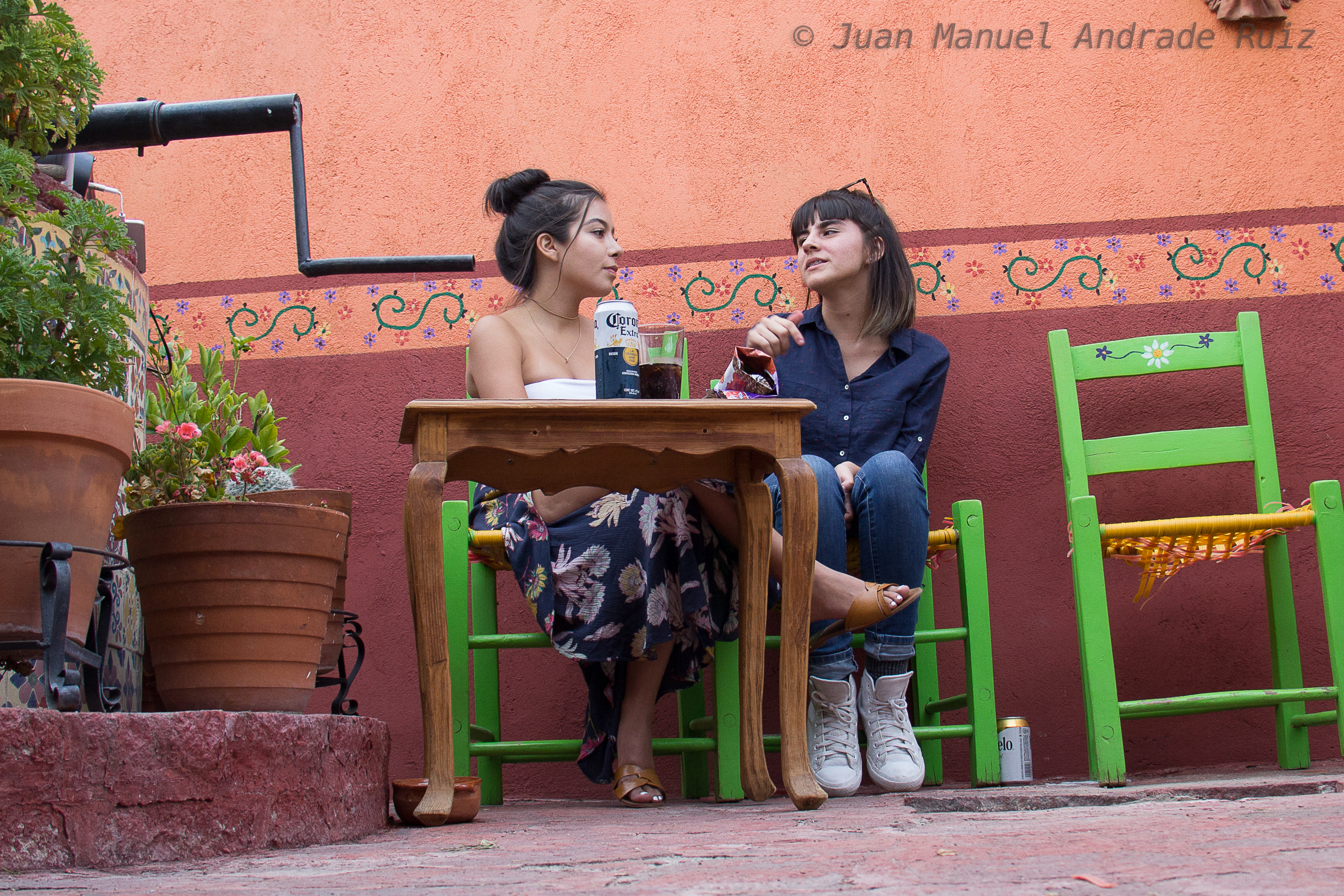 Huisache Ojocaliente Slp image 5