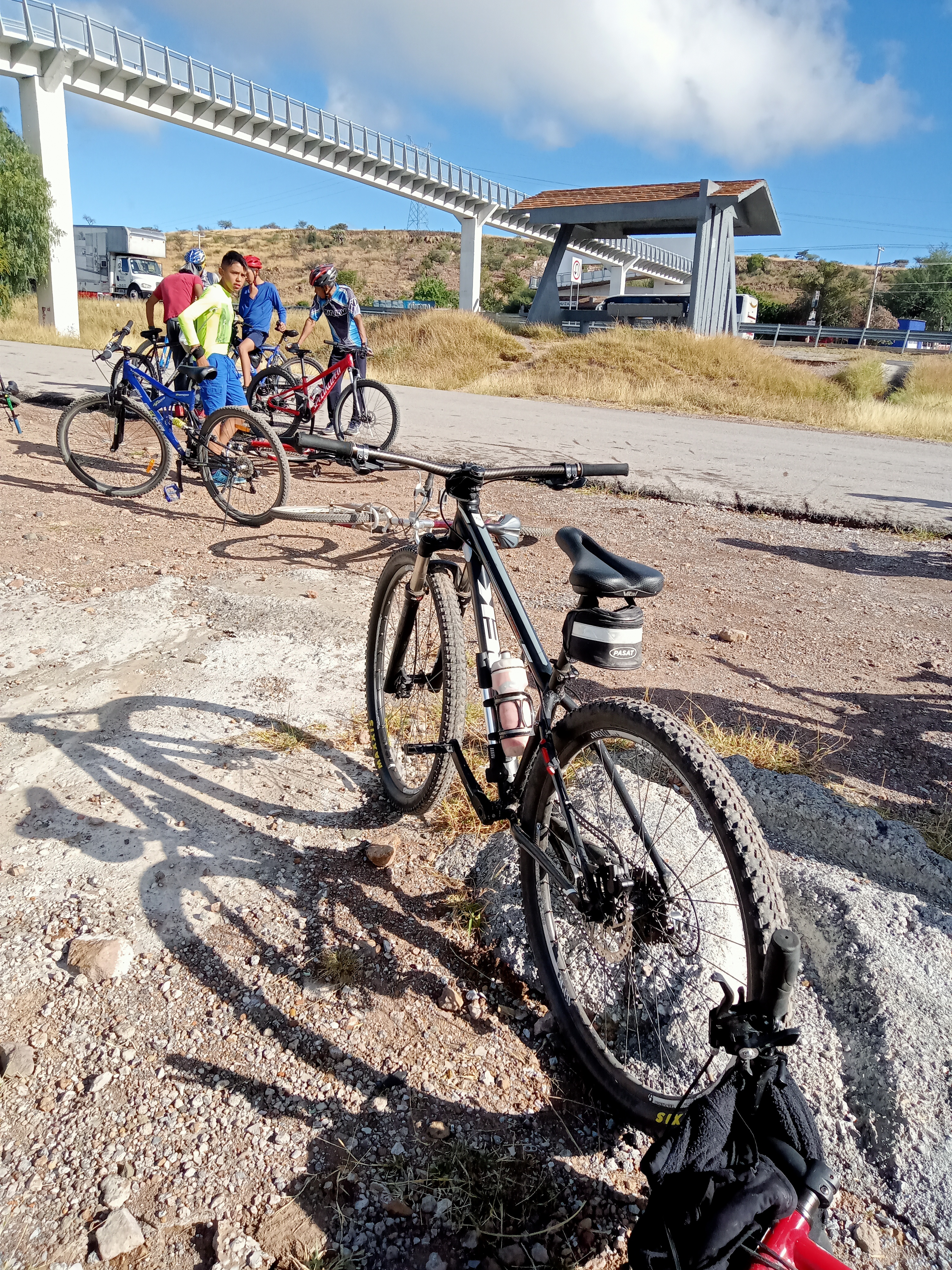 Huisache Ojocaliente Slp image 6