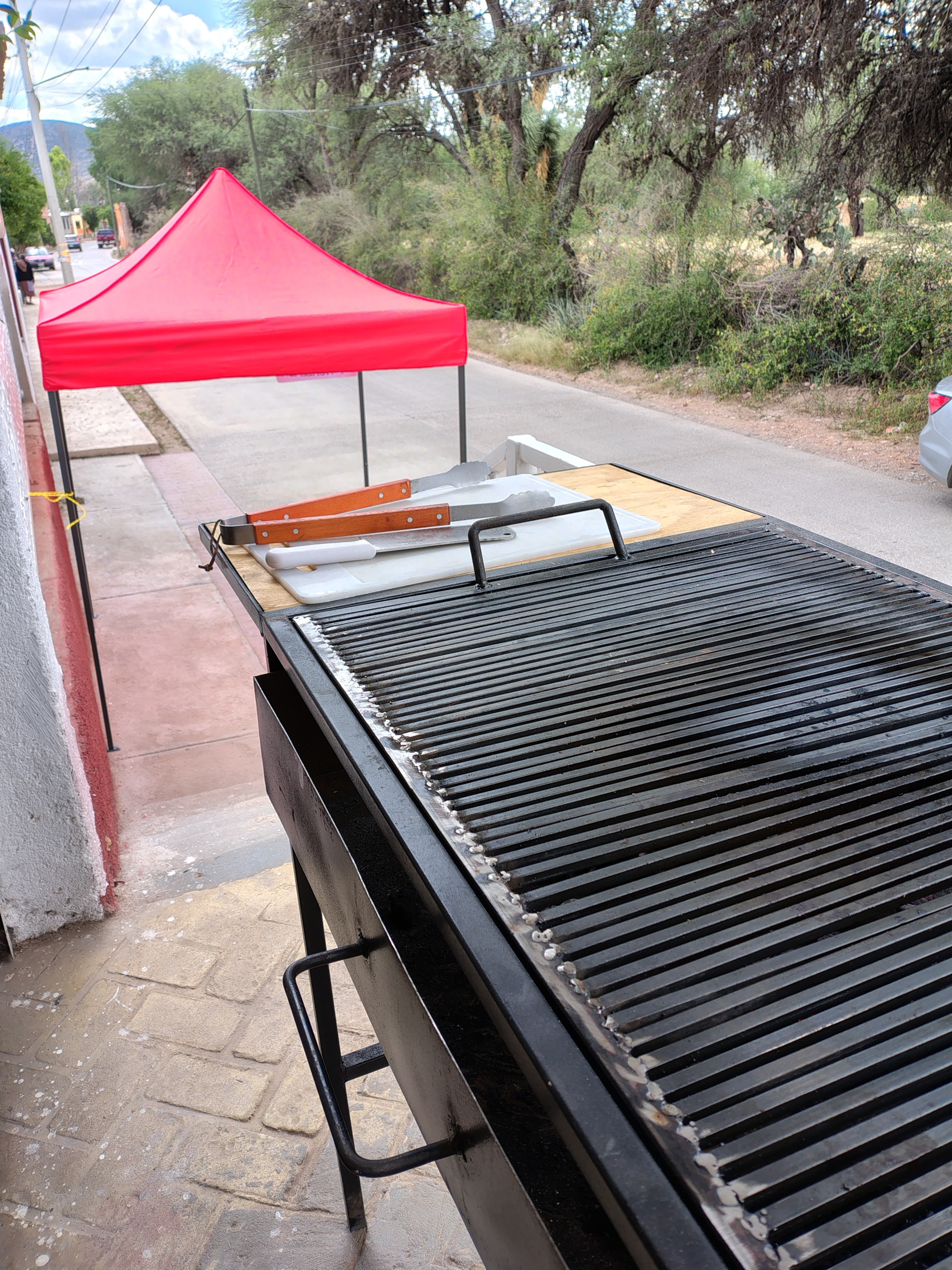 Carnes Asadas Camelias image 1