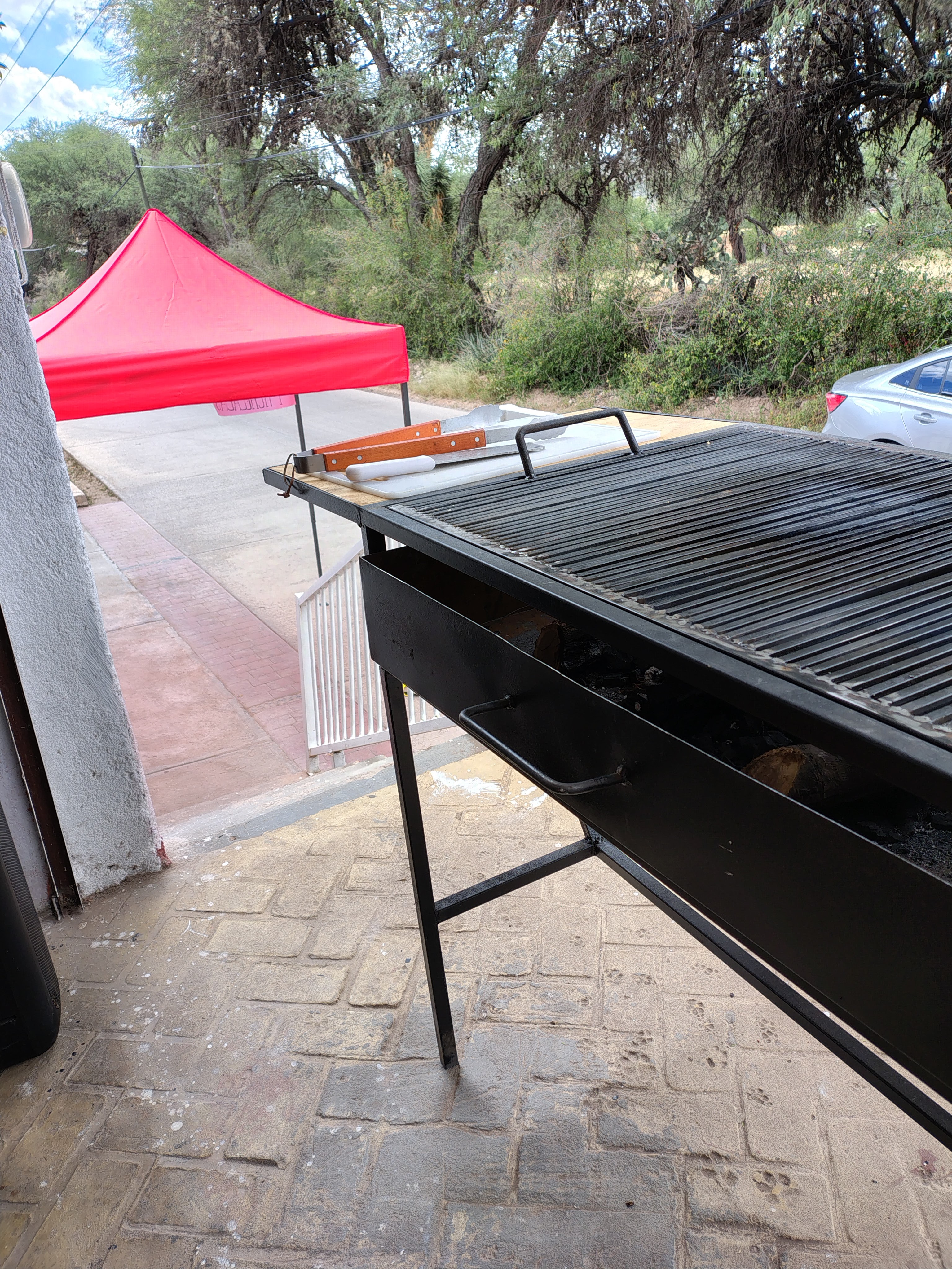 Carnes Asadas Camelias image 5