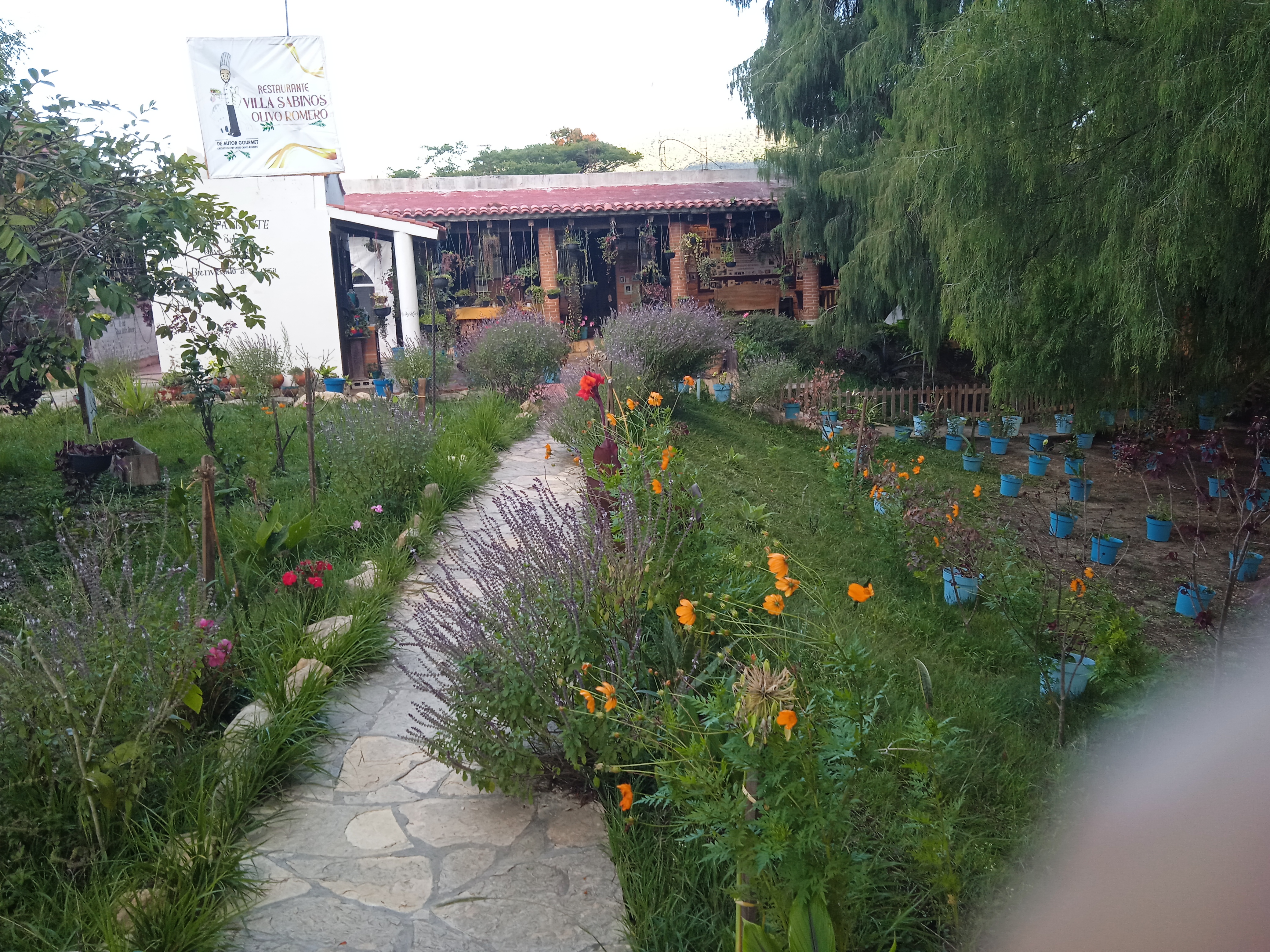 Restaura Villa Savinos Olivo Romero Cocina Dé, Autor Gourmet image 6