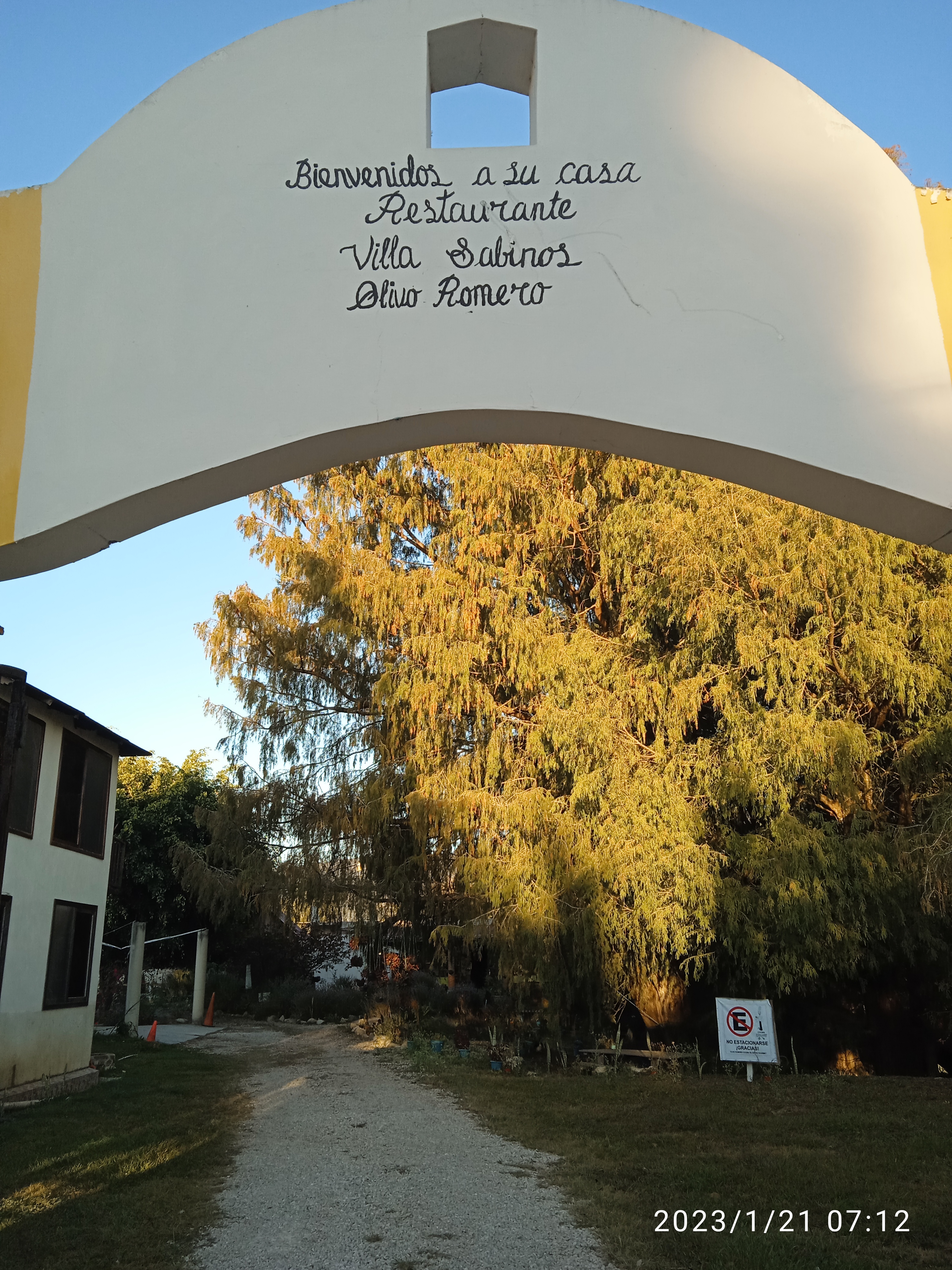 Restaura Villa Savinos Olivo Romero Cocina Dé, Autor Gourmet image 8