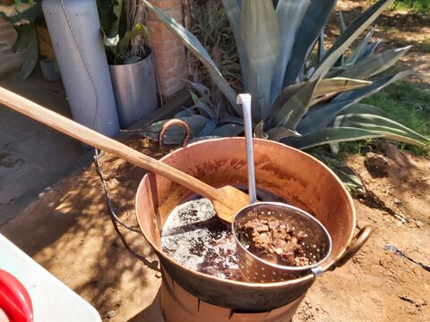 Restaurant "Rancho el 14" image 2