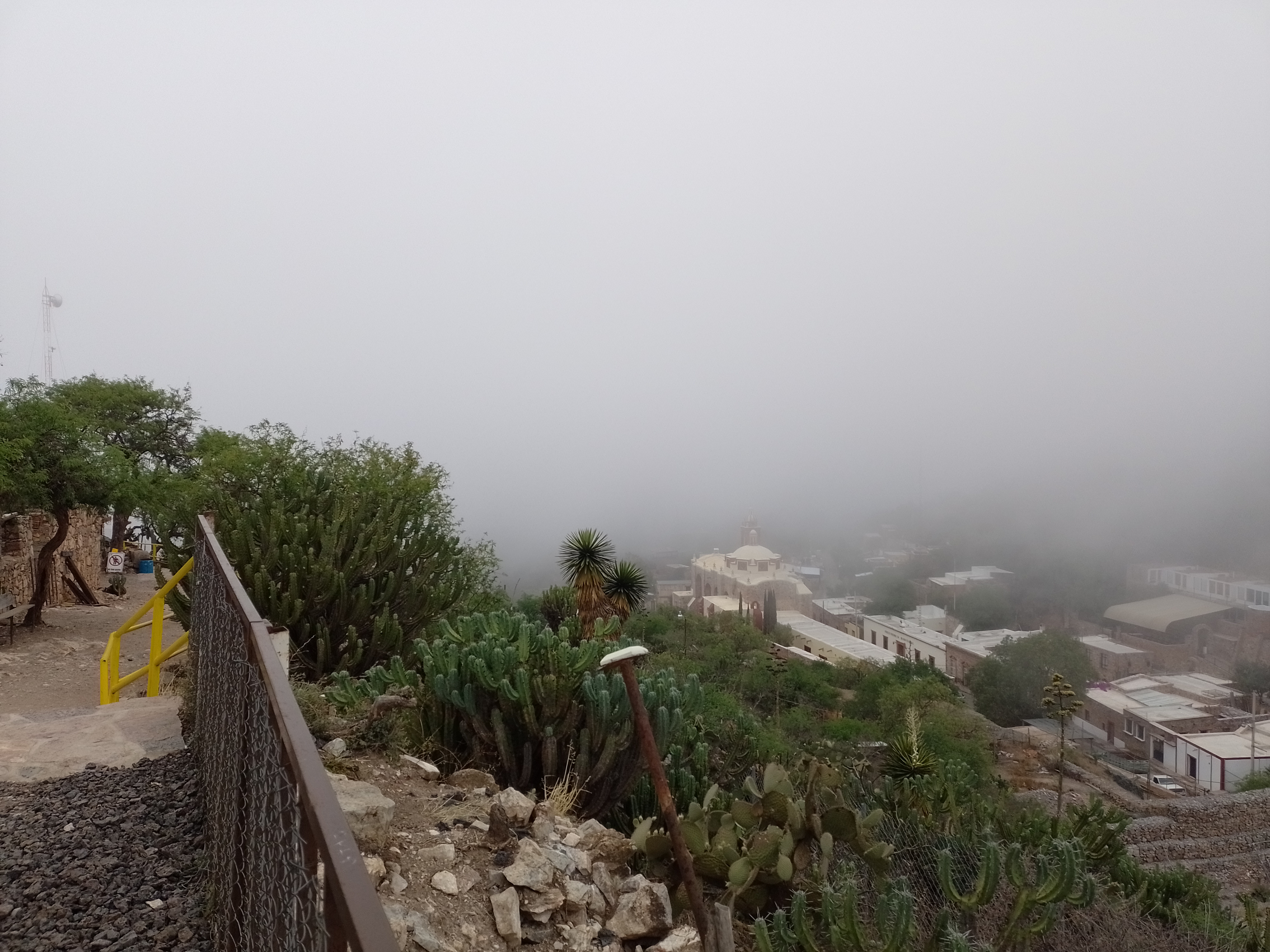 Gambusino Mirador Bar image 4