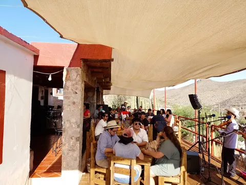 Gambusino Mirador Bar image 7