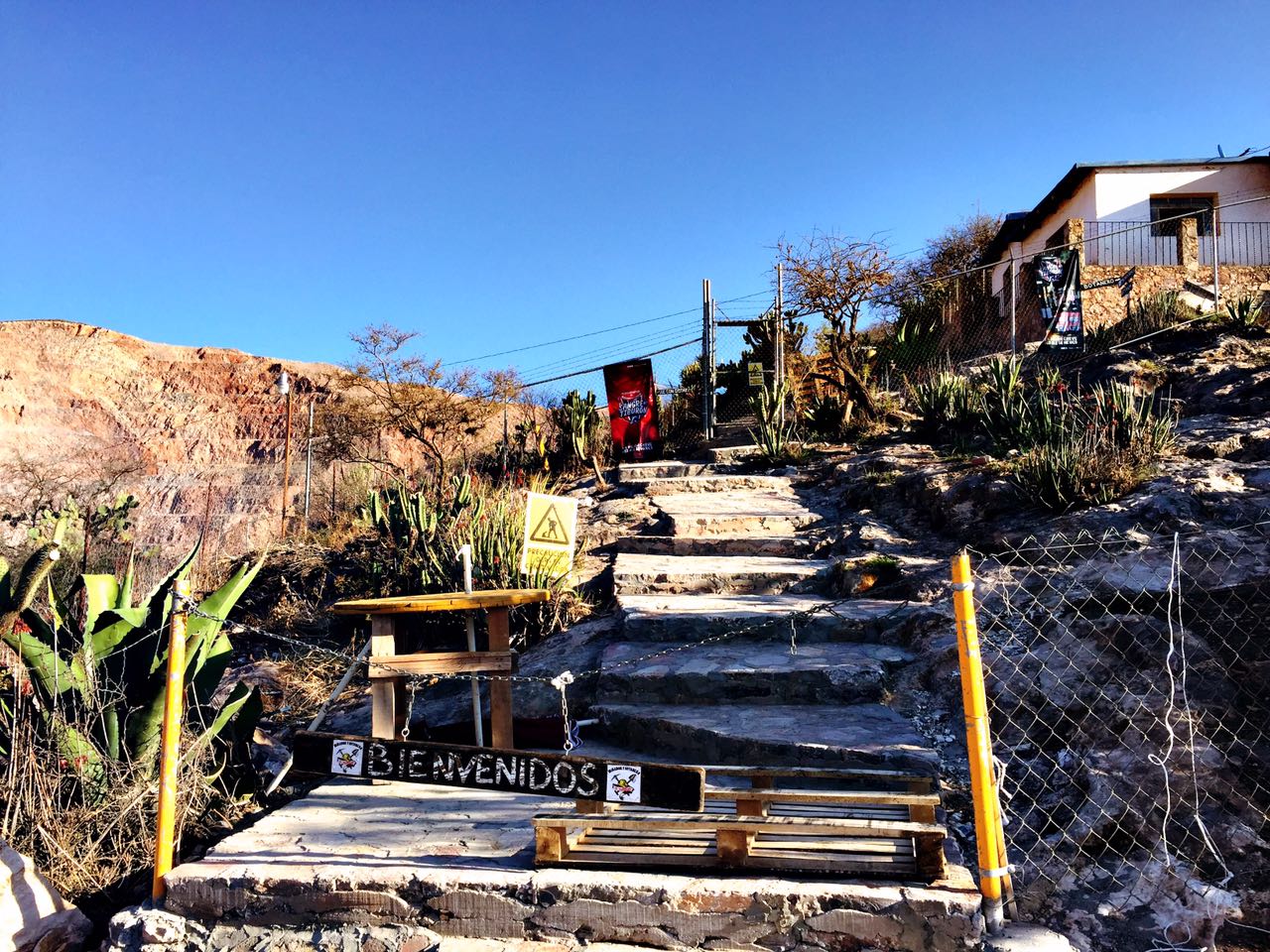 Gambusino Mirador Bar image 9