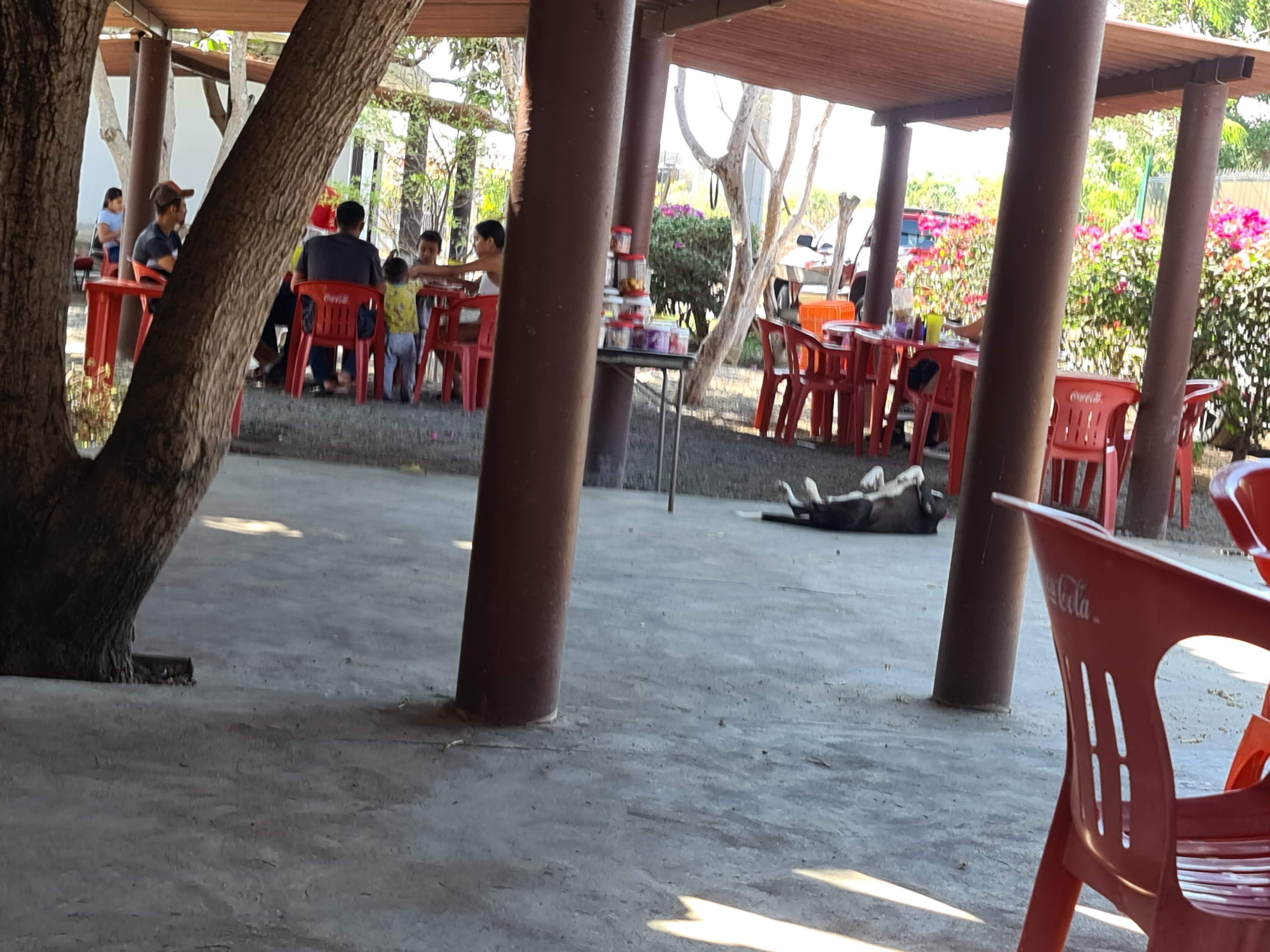 Mariscos "El paraíso" image 1