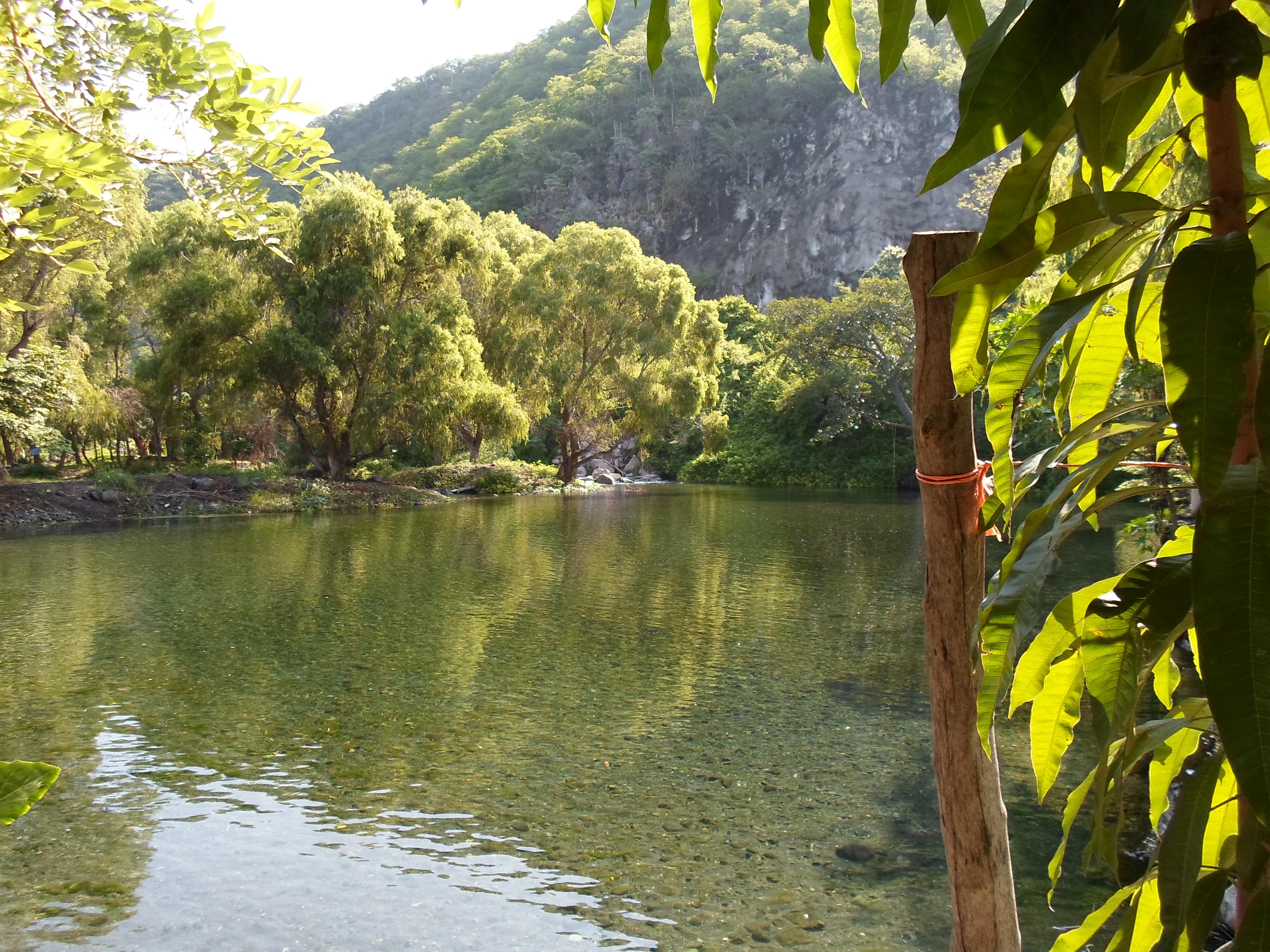 Barbacoa El Cuñado image 9