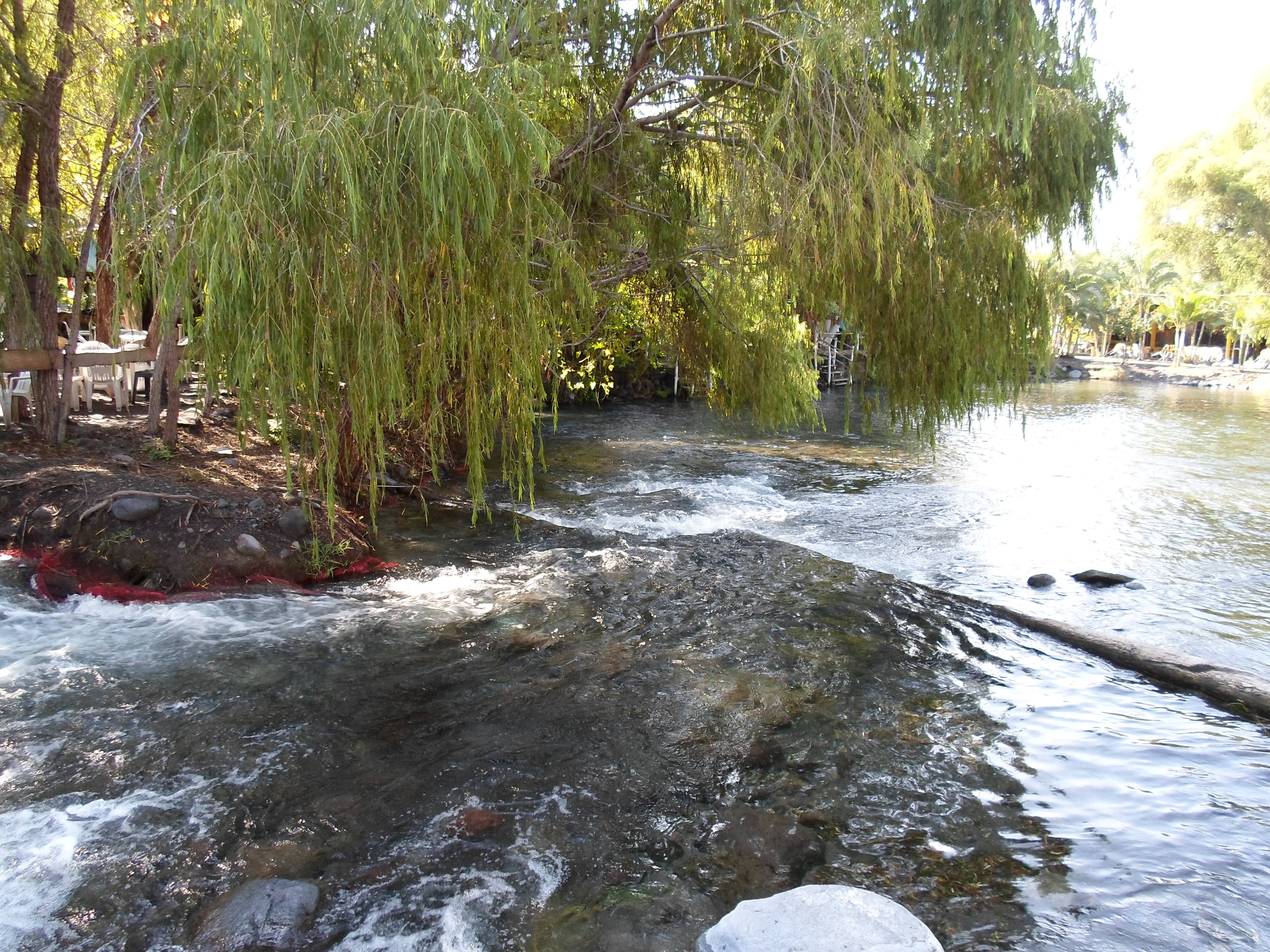 Barbacoa El Cuñado image 10