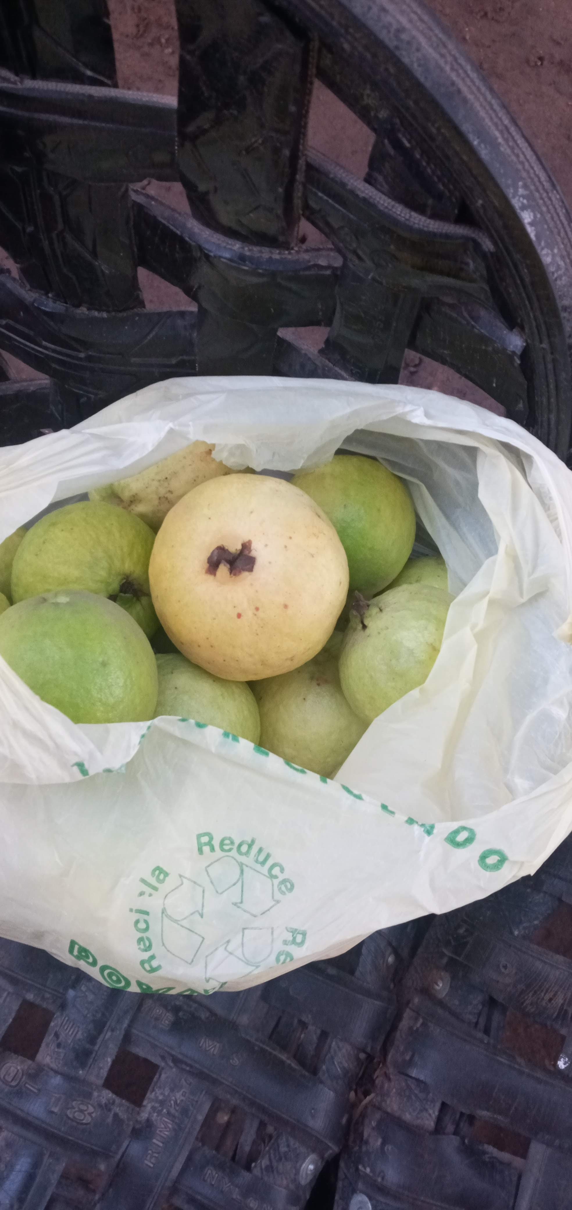 Taquería Los Borregos - El Potrero image 3