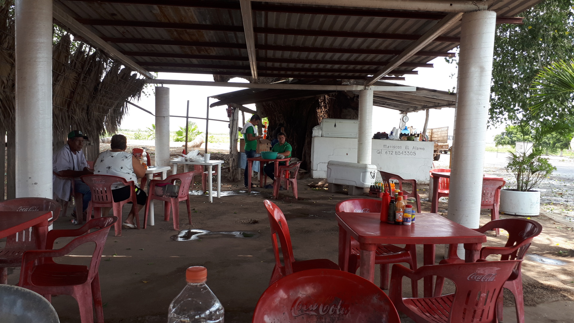 Mariscos El Alamo image 1