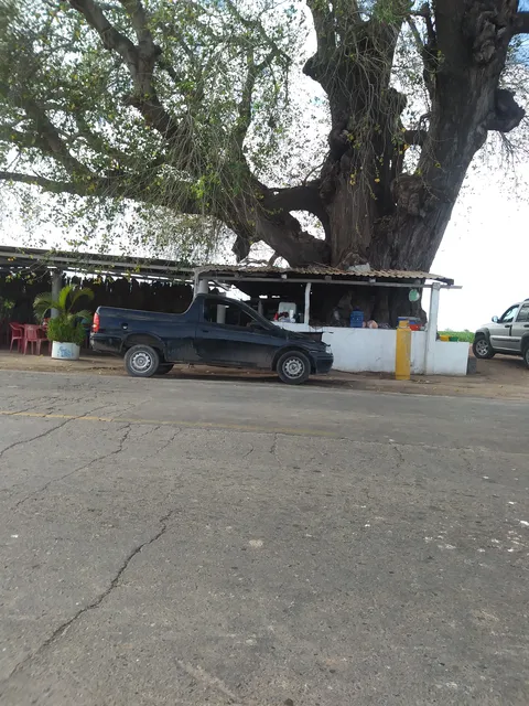Mariscos El Alamo image 6