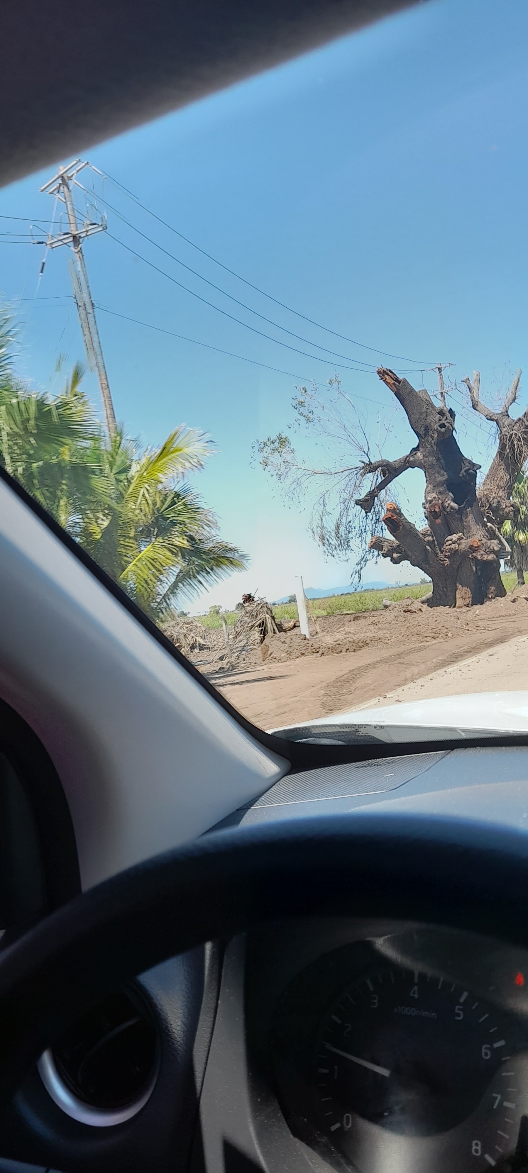 Mariscos El Alamo image 10