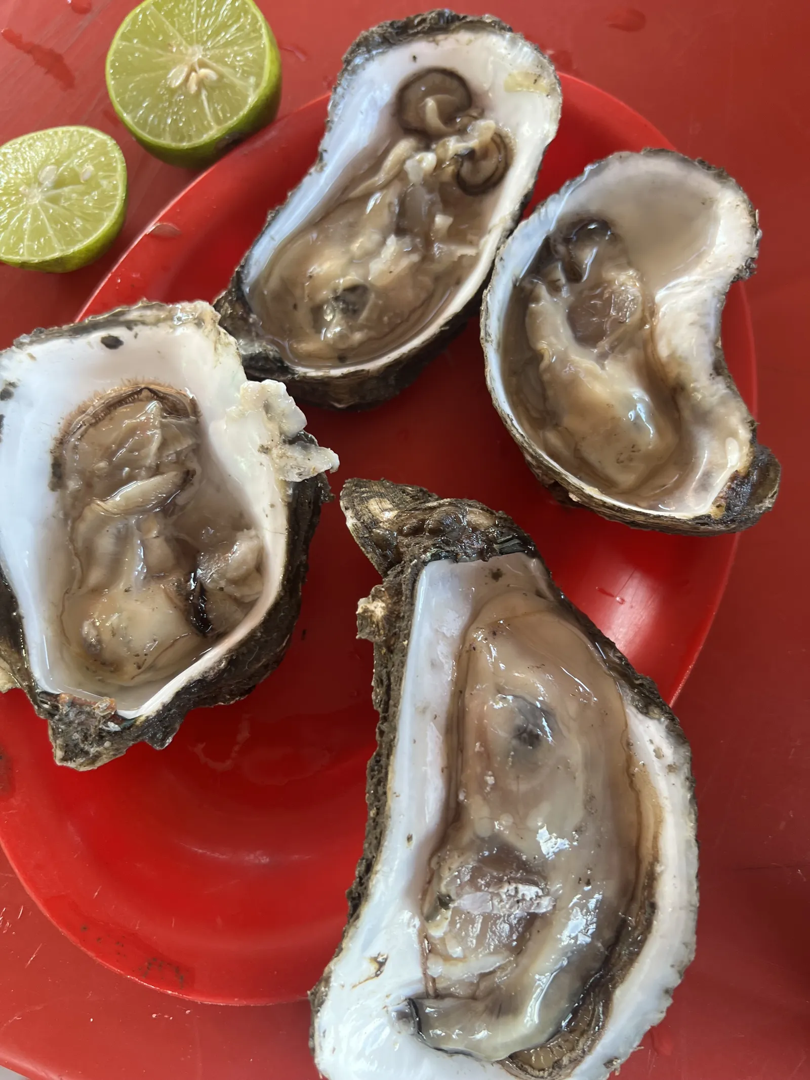 Mariscos especiales Alondra image 9
