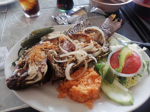 Central de Mariscos image 3