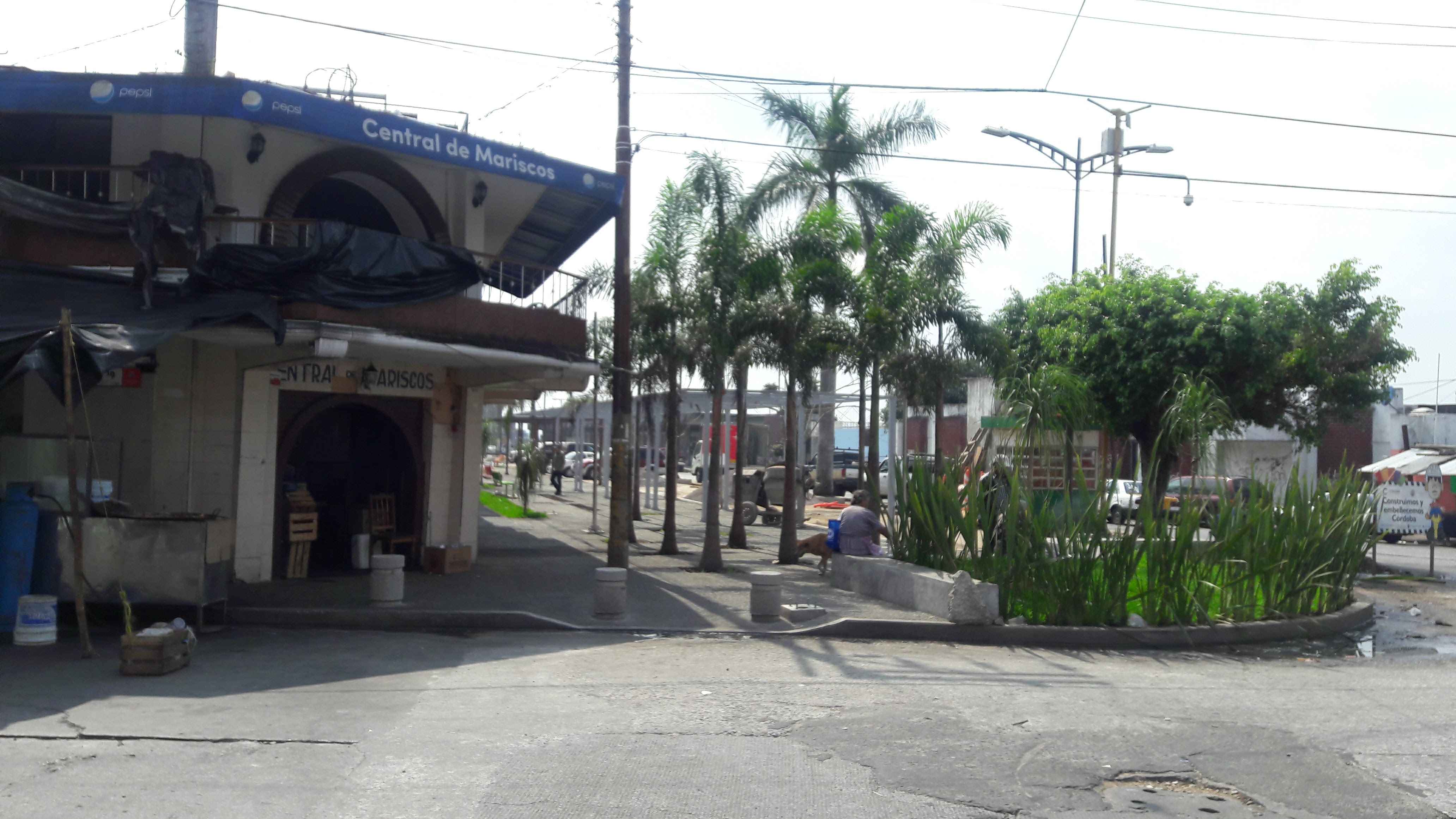 Central de Mariscos image 7