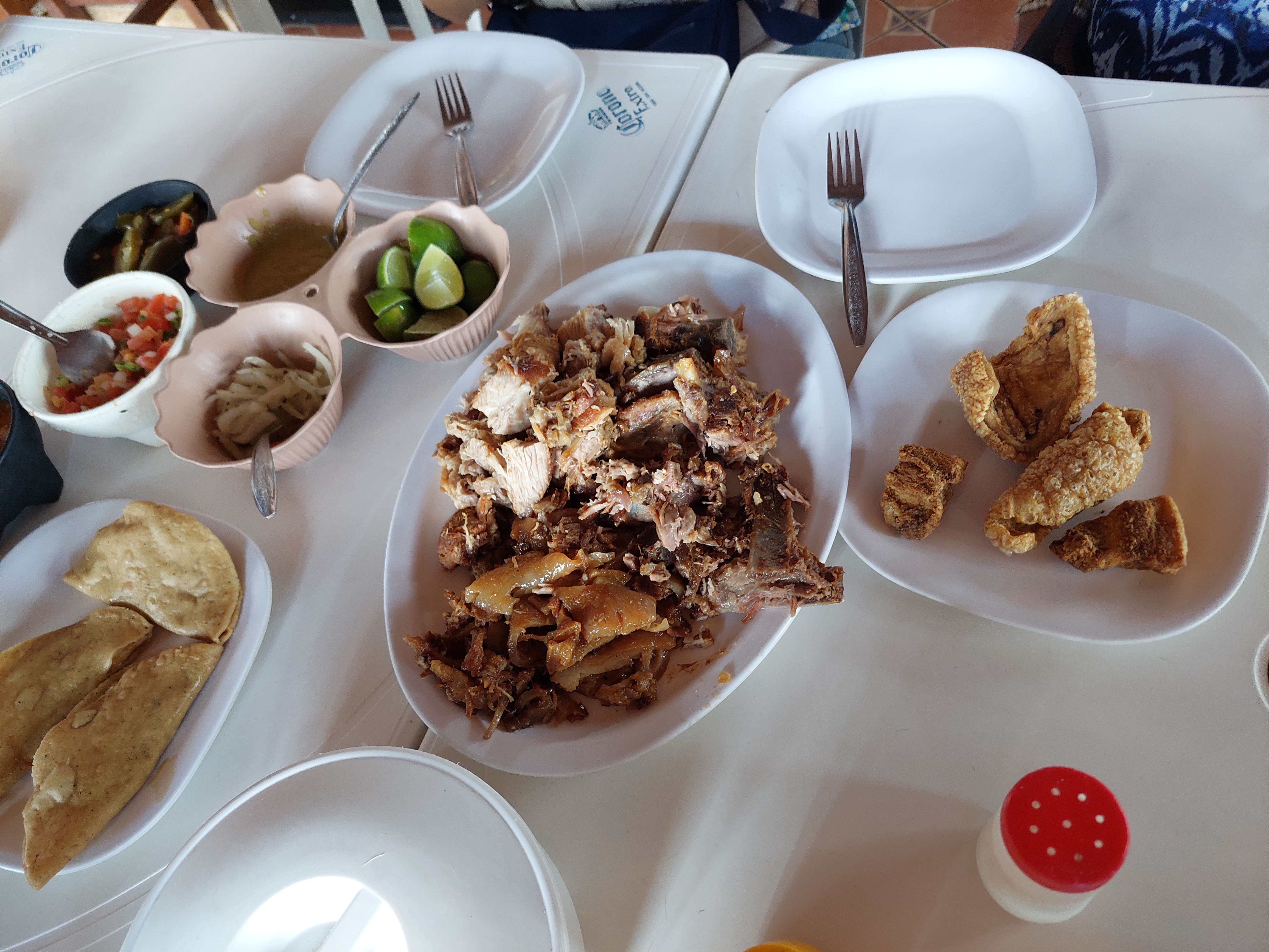 Carnitas "El Alteño" image 2