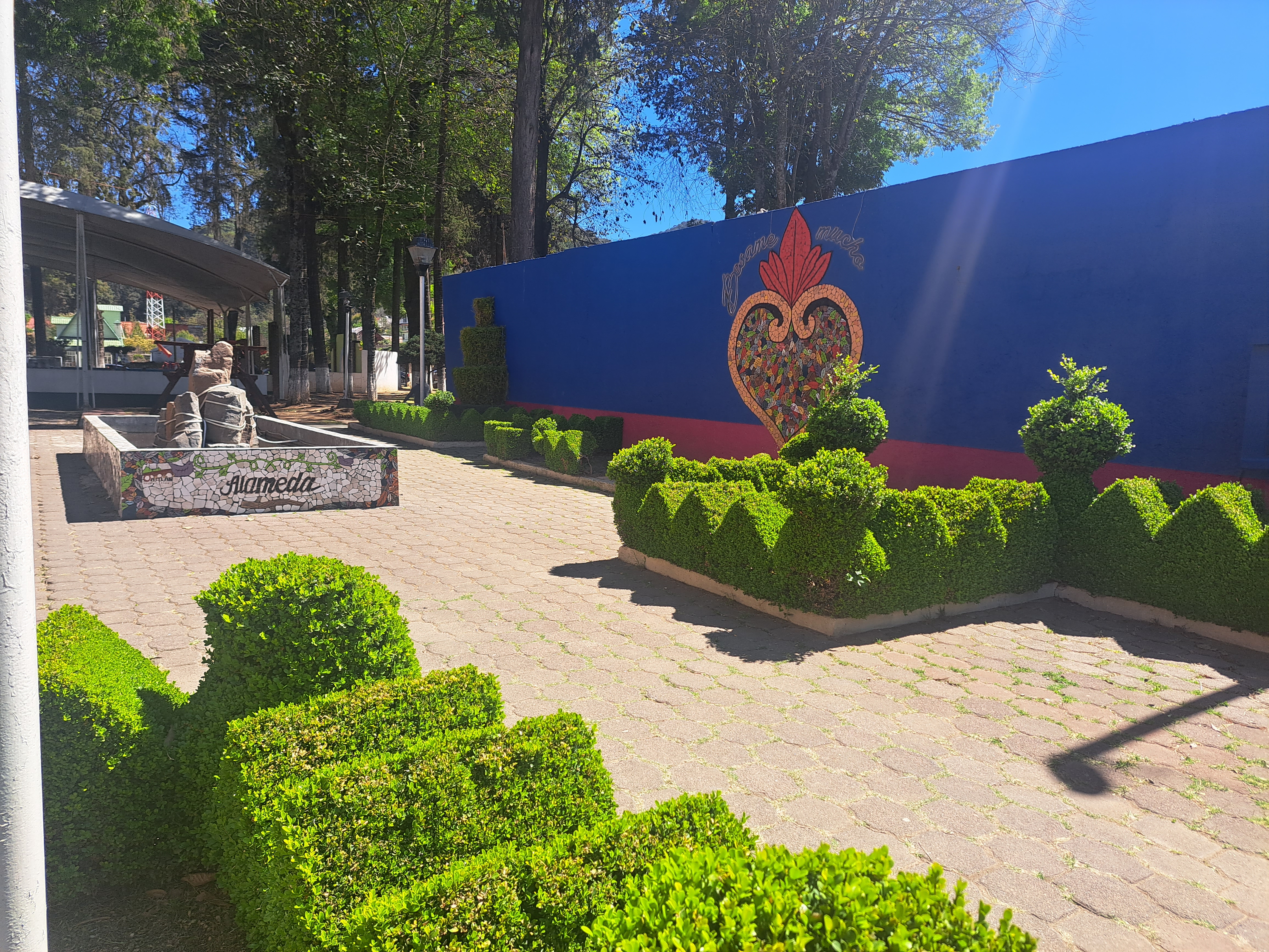 Entre Peras & Manzanas image 6