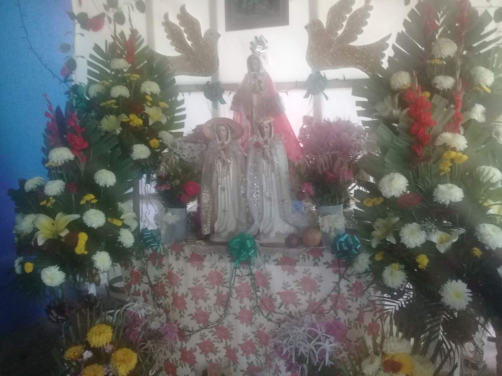 Salguero Michoacan De Ocampo image 6