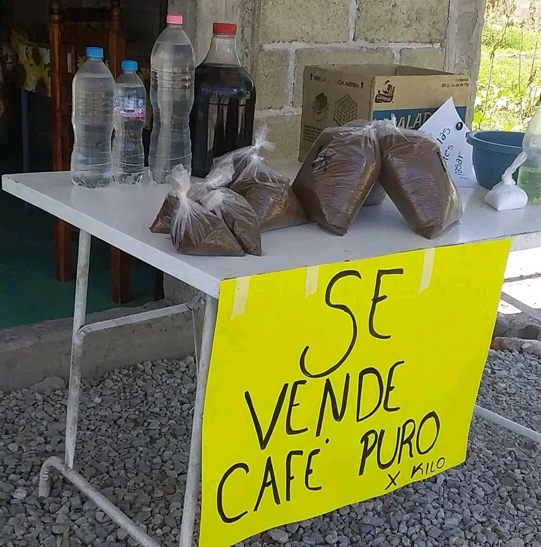Pulque las gemelas image 1