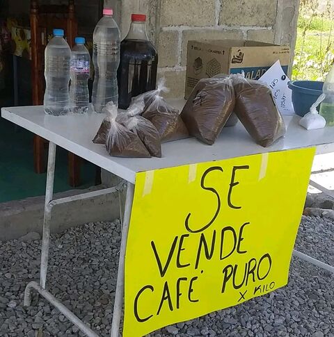 Pulque las gemelas image 1