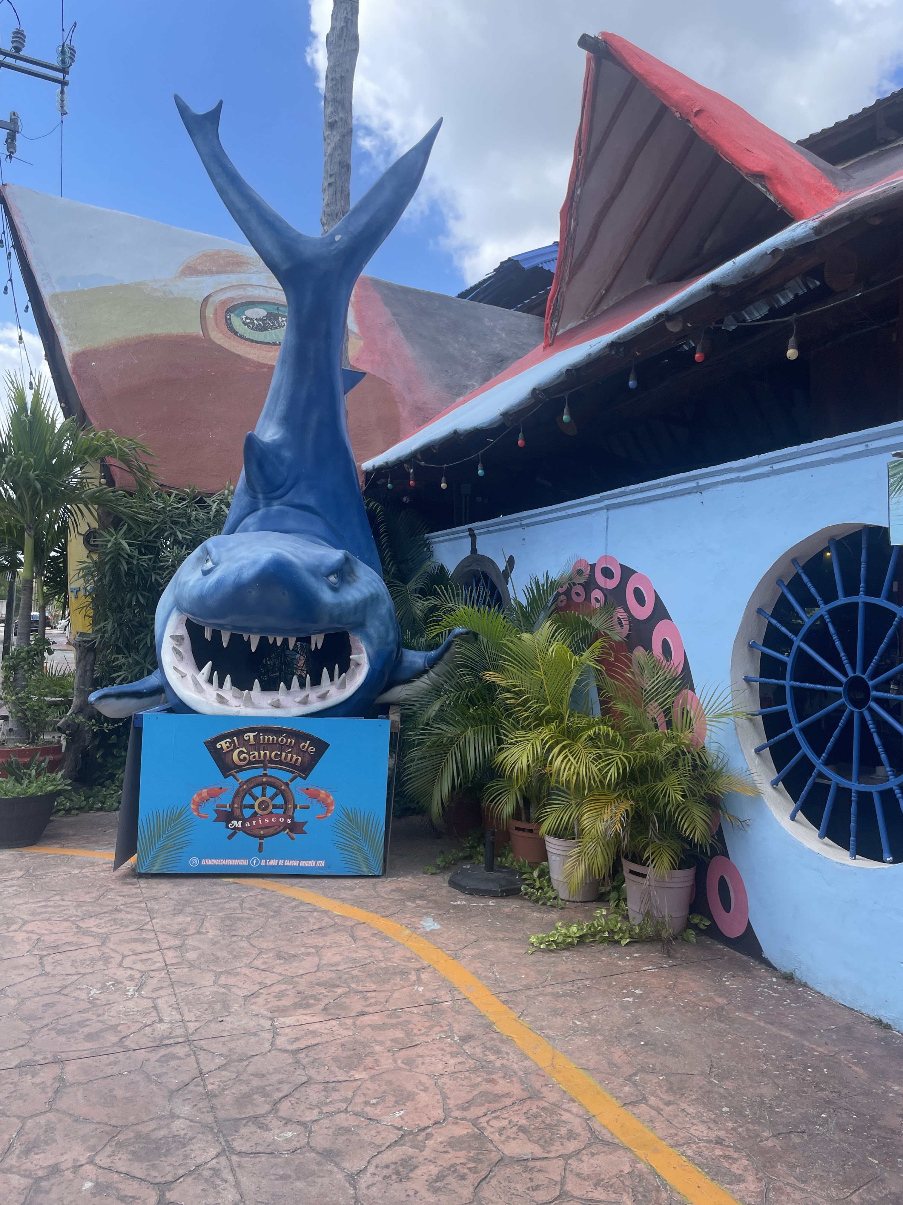 El Timon de Cancun image 7