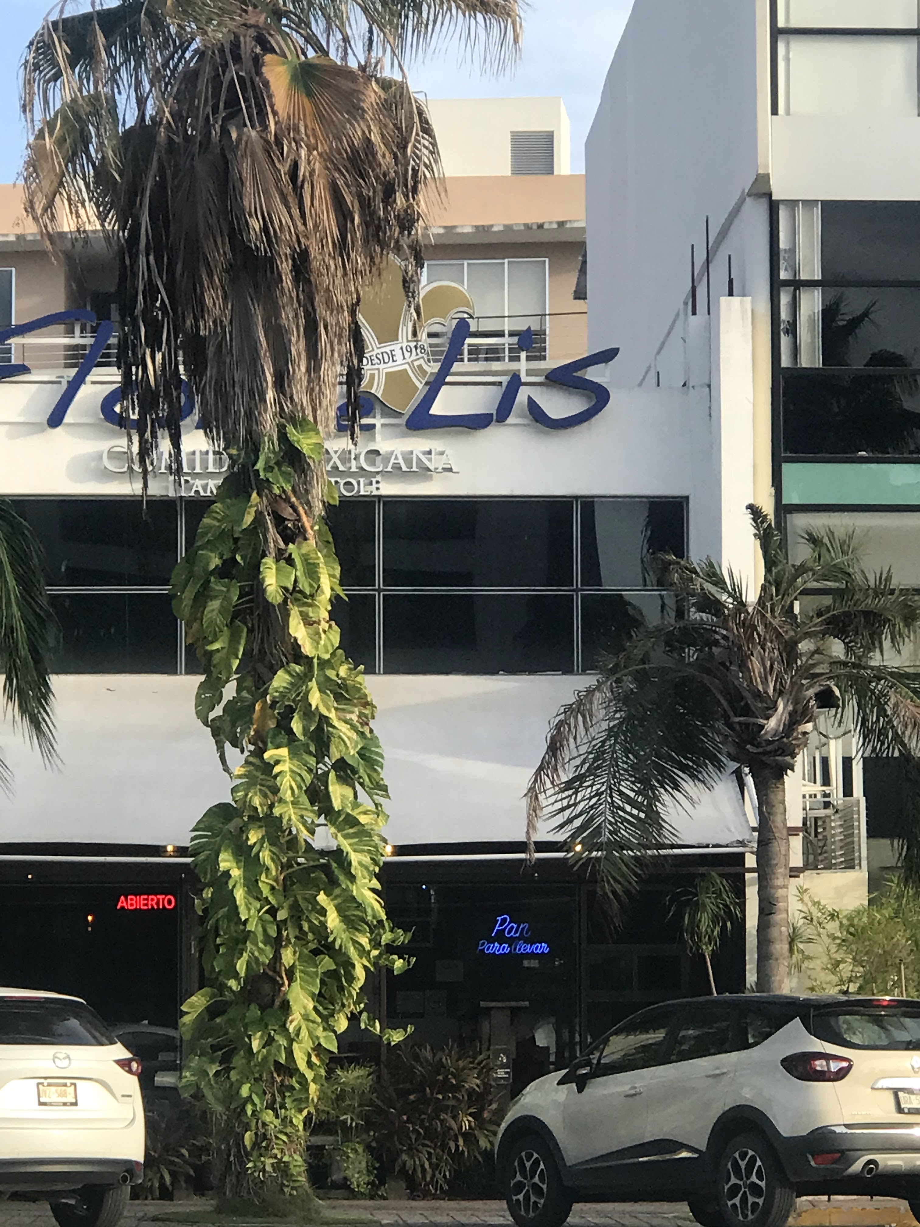 Restaurante Flor de Lis | Cumbres image 10